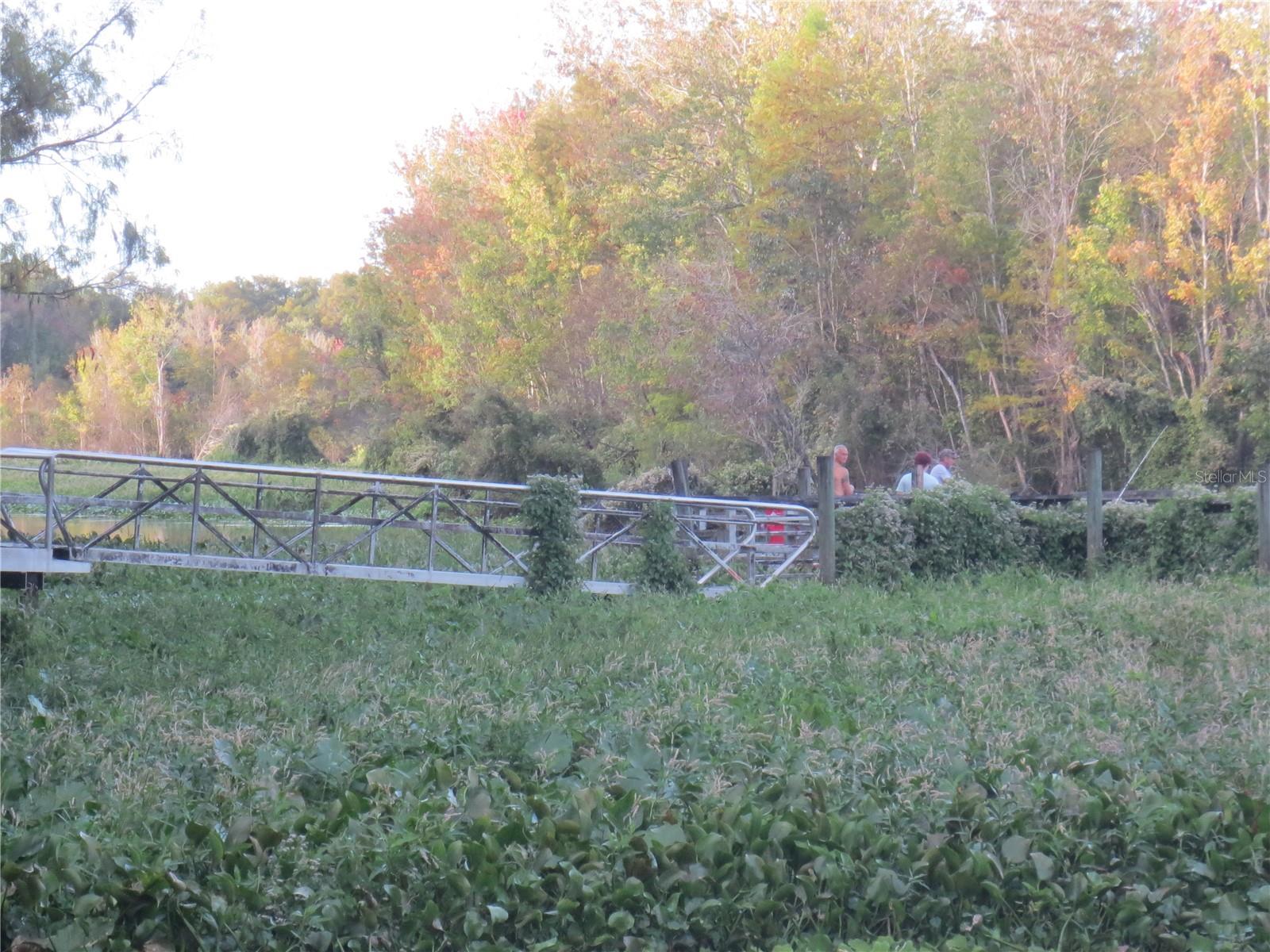 NE 171ST CT, SILVER SPRINGS, FL — photo 32