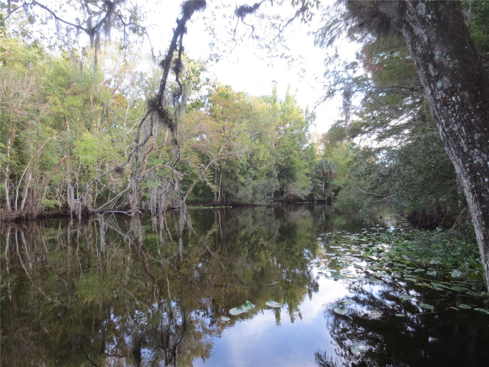 NE 171ST CT, SILVER SPRINGS, FL — photo 37