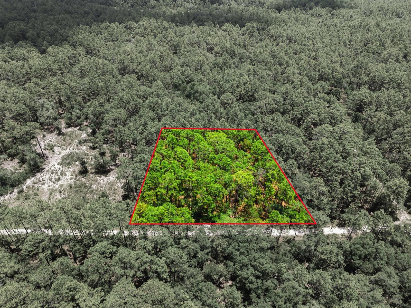 Lot 02 SW 175TH TER, DUNNELLON, FL