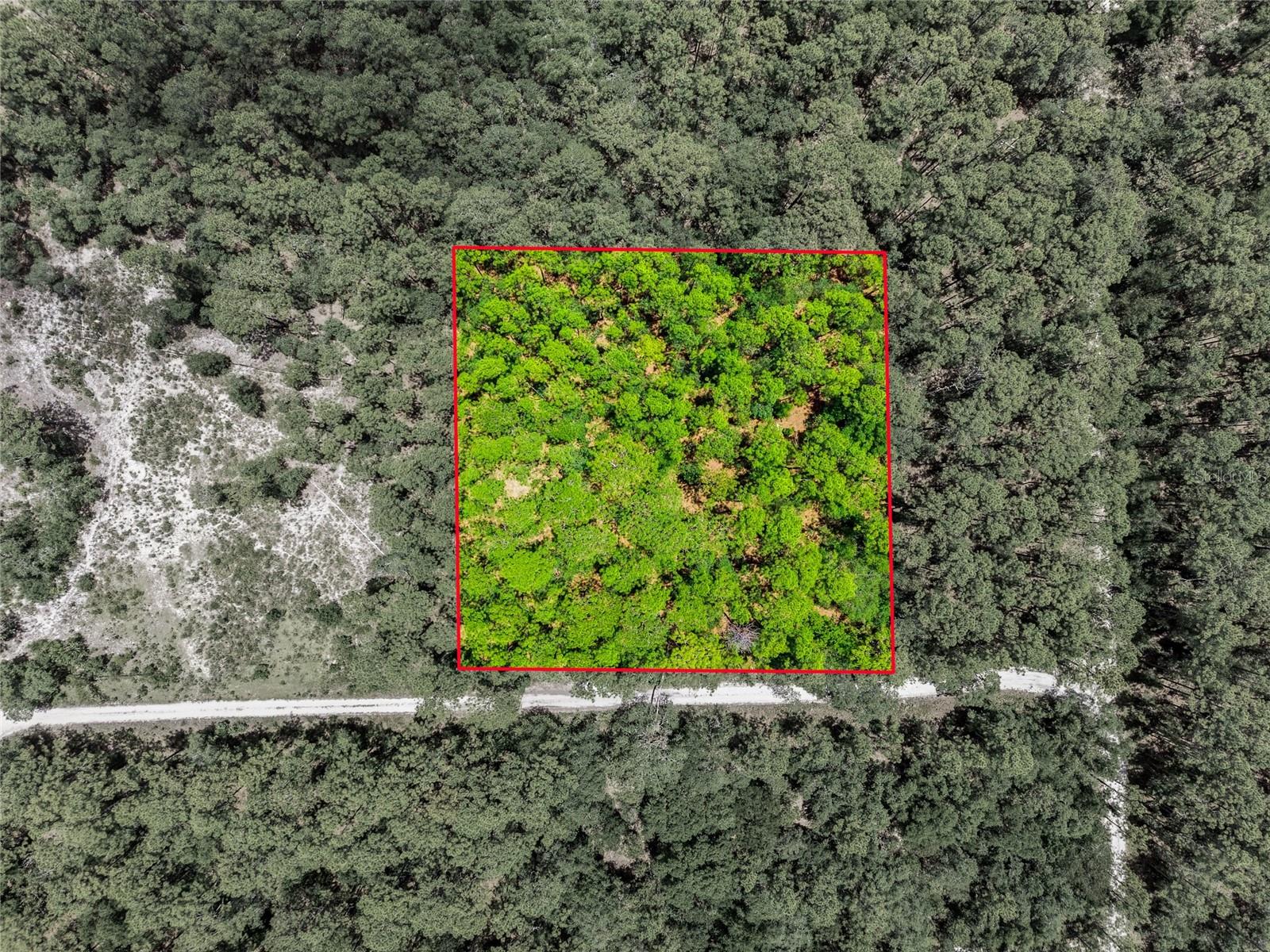 Lot 02 SW 175TH TER, DUNNELLON, FL — photo 2