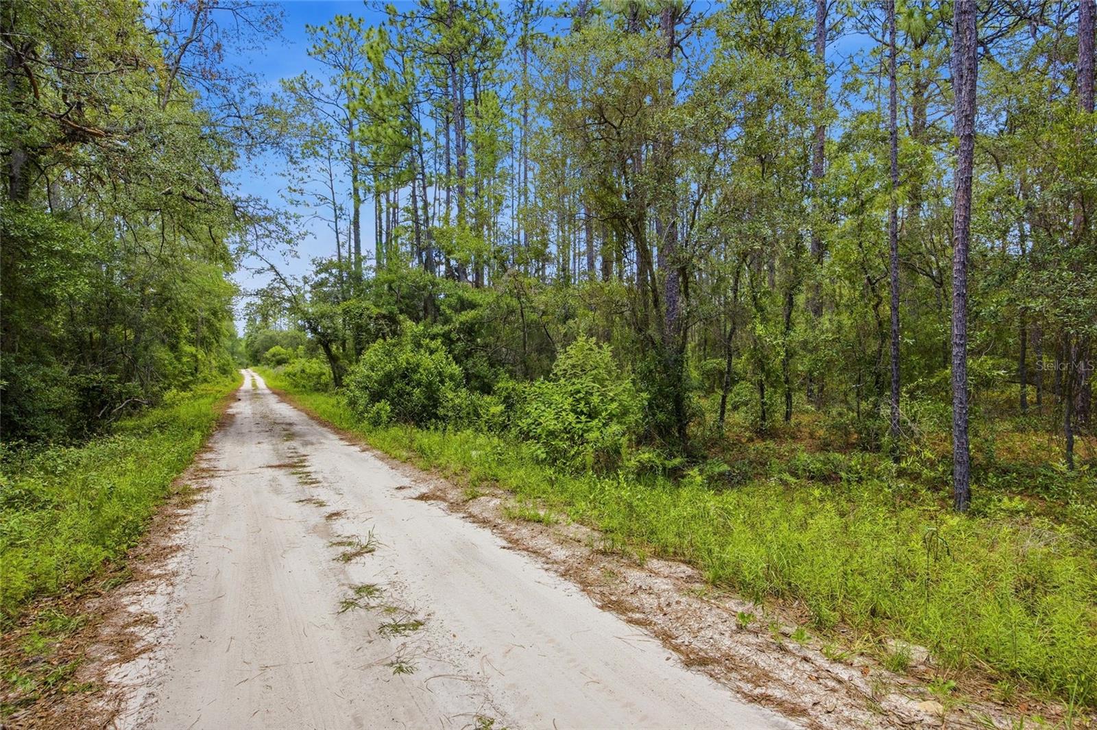 Lot 02 SW 175TH TER, DUNNELLON, FL — photo 3