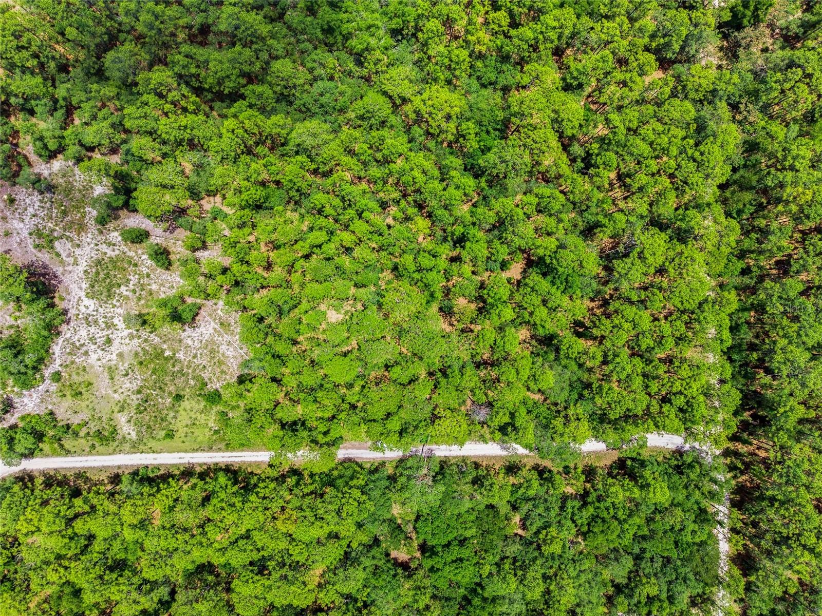 Lot 02 SW 175TH TER, DUNNELLON, FL — photo 4