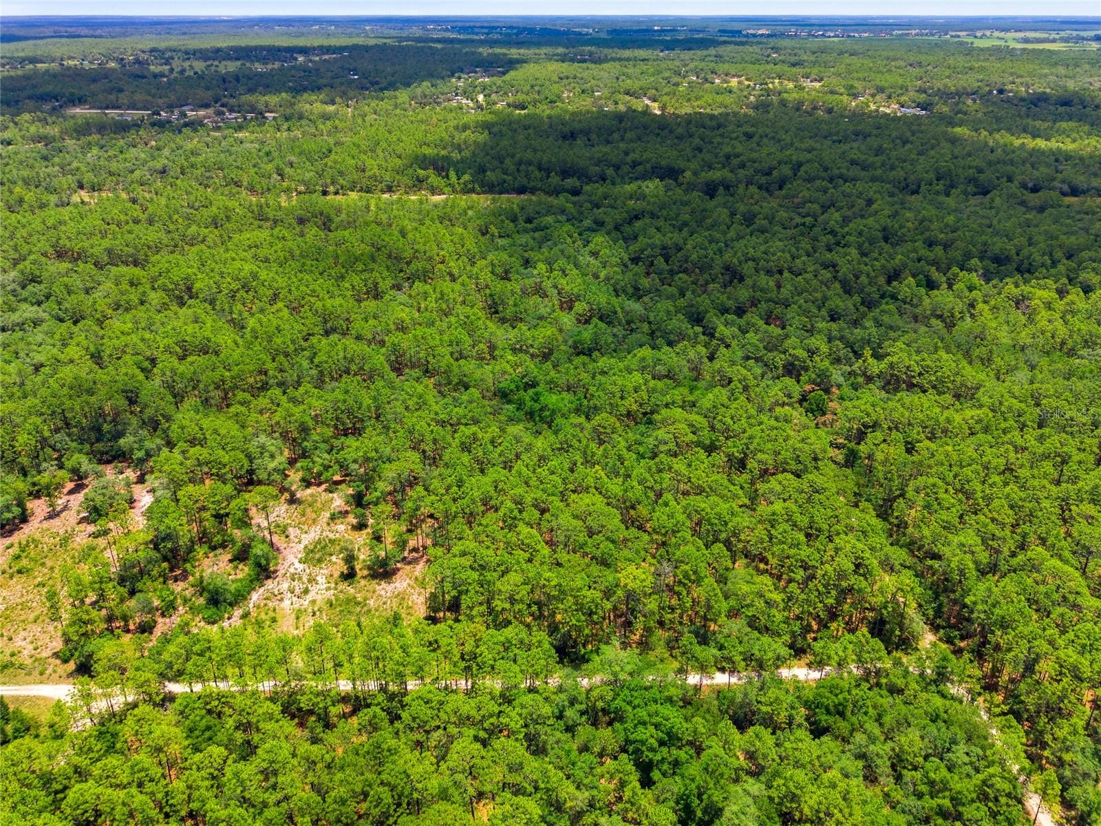 Lot 02 SW 175TH TER, DUNNELLON, FL — photo 6