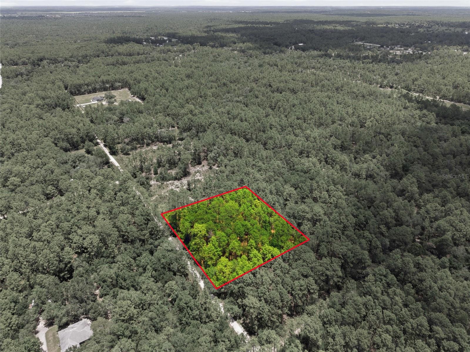 Lot 02 SW 175TH TER, DUNNELLON, FL — photo 7