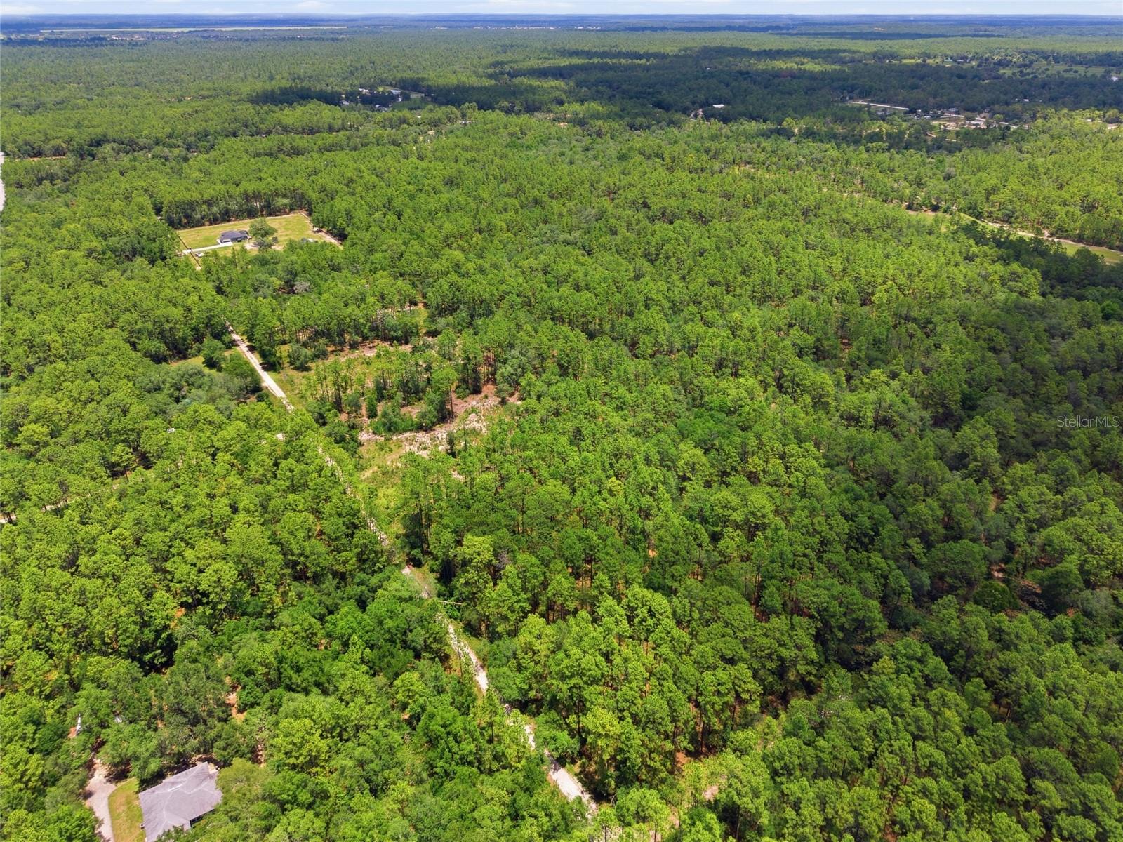 Lot 02 SW 175TH TER, DUNNELLON, FL — photo 8