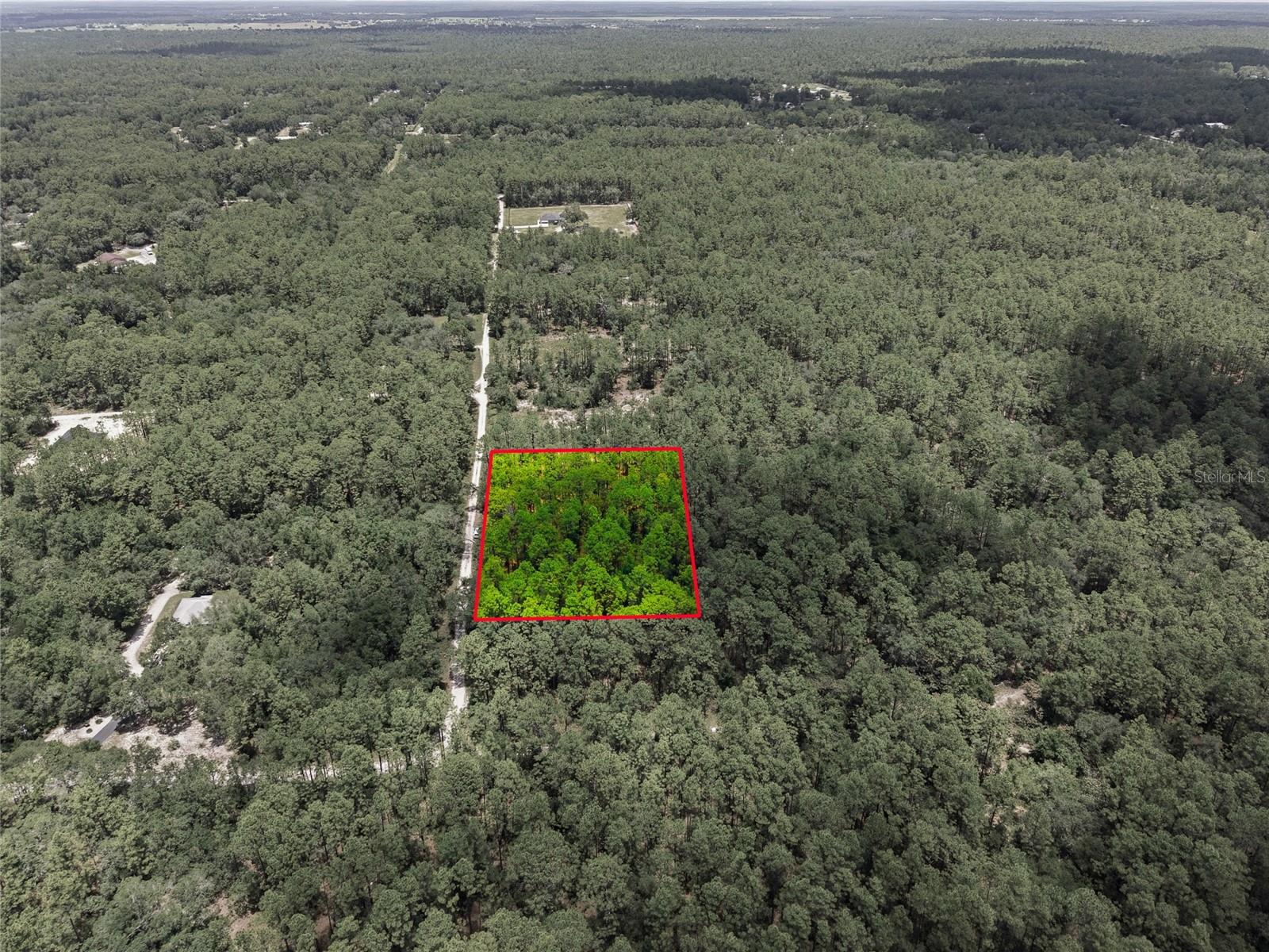 Lot 02 SW 175TH TER, DUNNELLON, FL — photo 9
