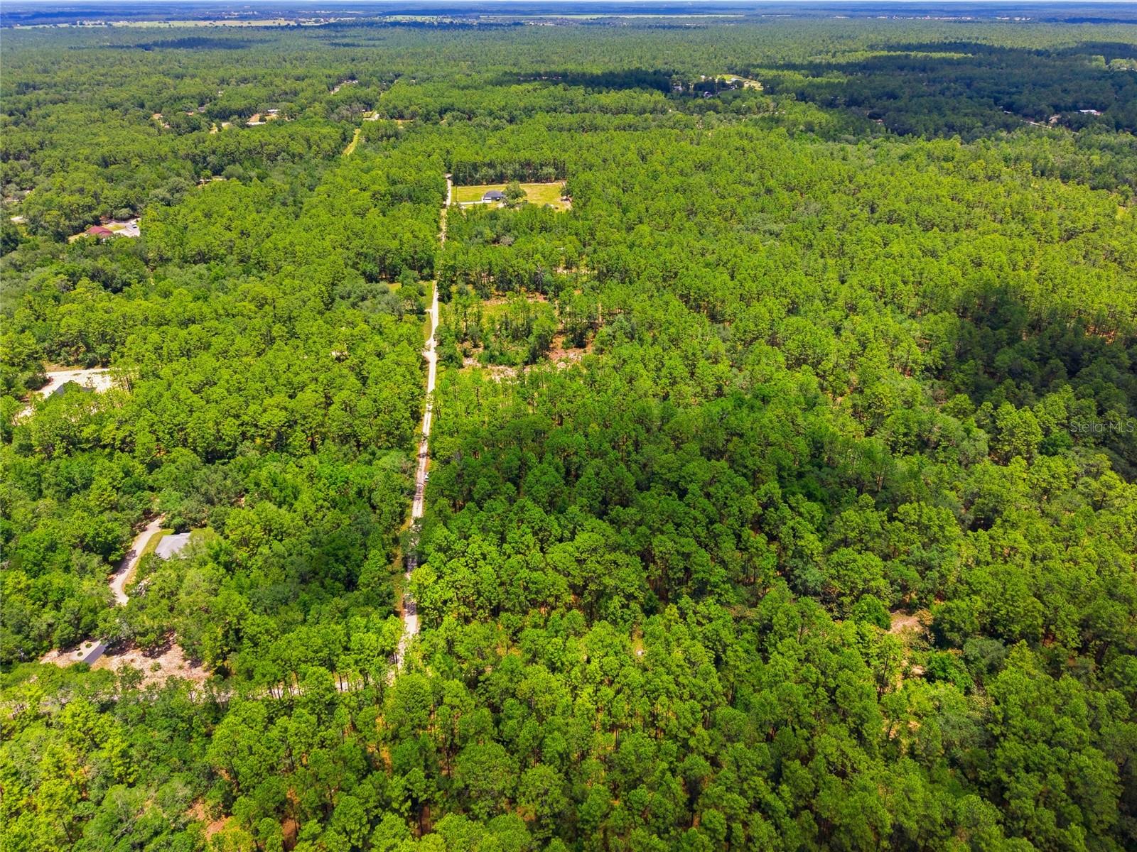 Lot 02 SW 175TH TER, DUNNELLON, FL — photo 10