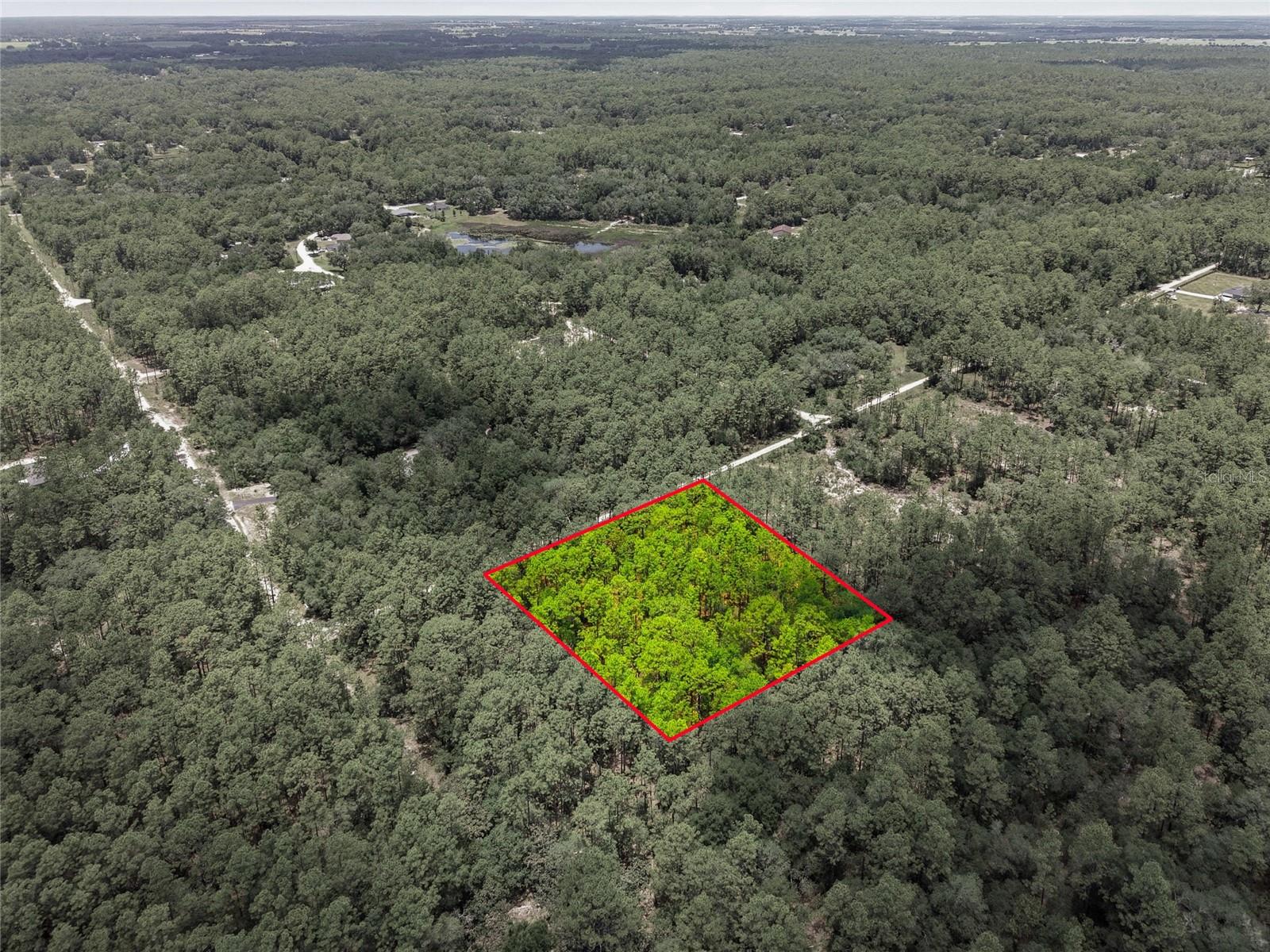 Lot 02 SW 175TH TER, DUNNELLON, FL — photo 11