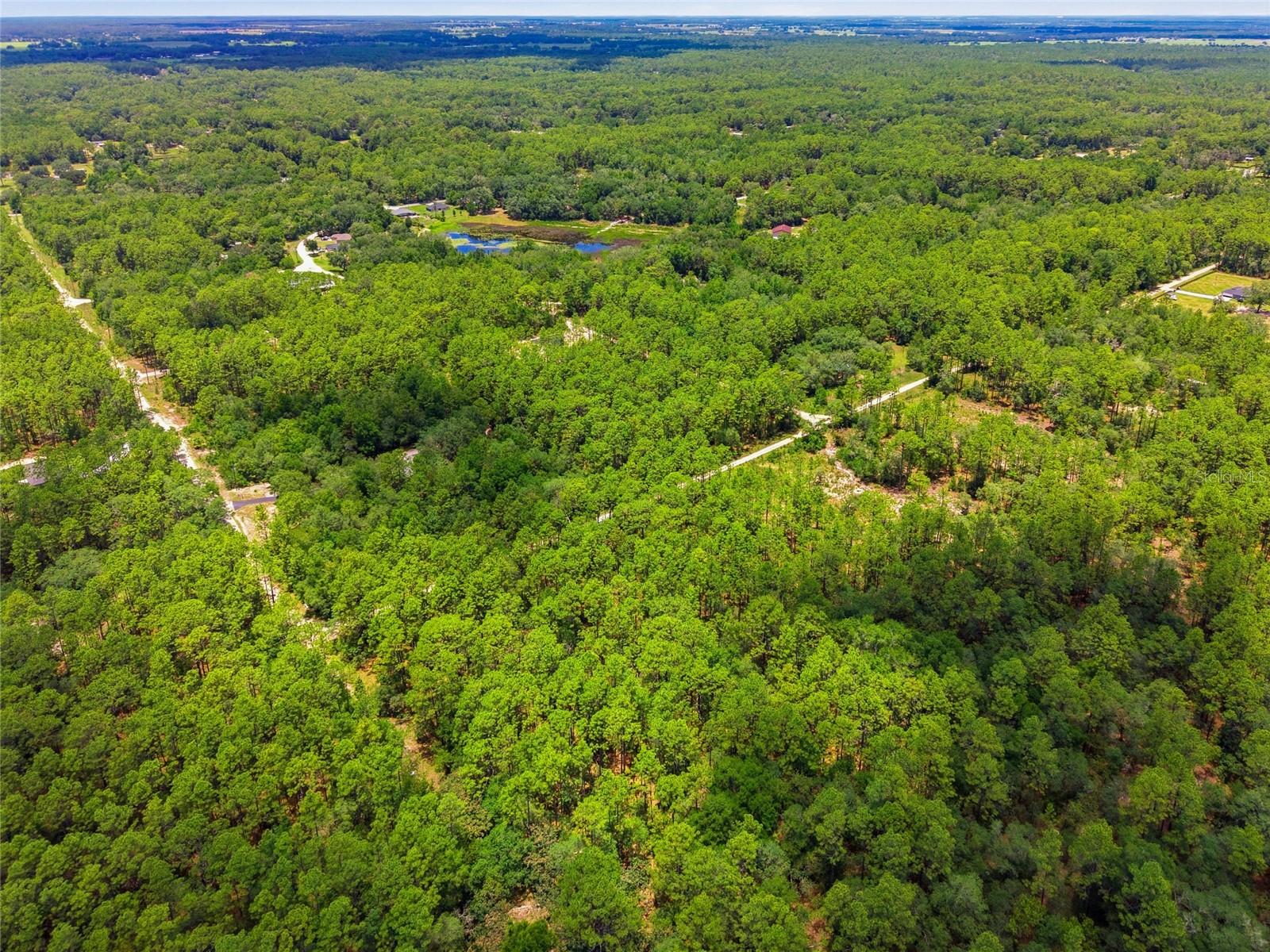 Lot 02 SW 175TH TER, DUNNELLON, FL — photo 12