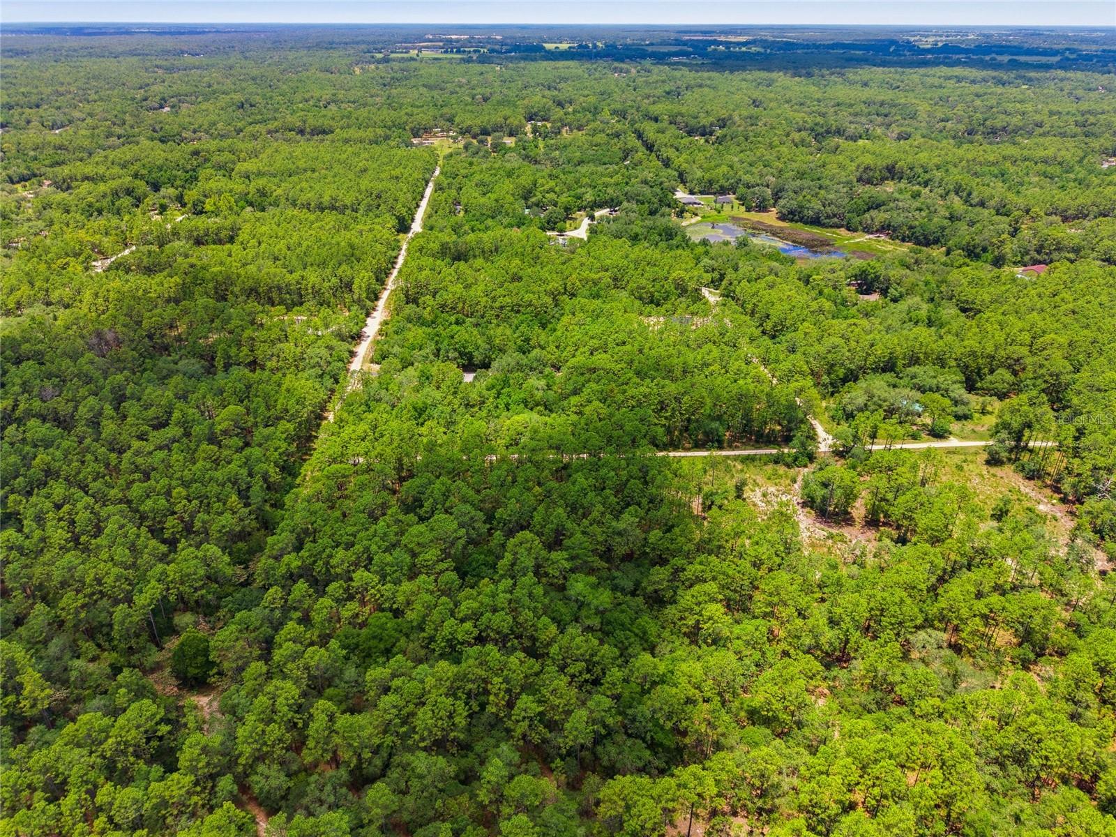 Lot 02 SW 175TH TER, DUNNELLON, FL — photo 14