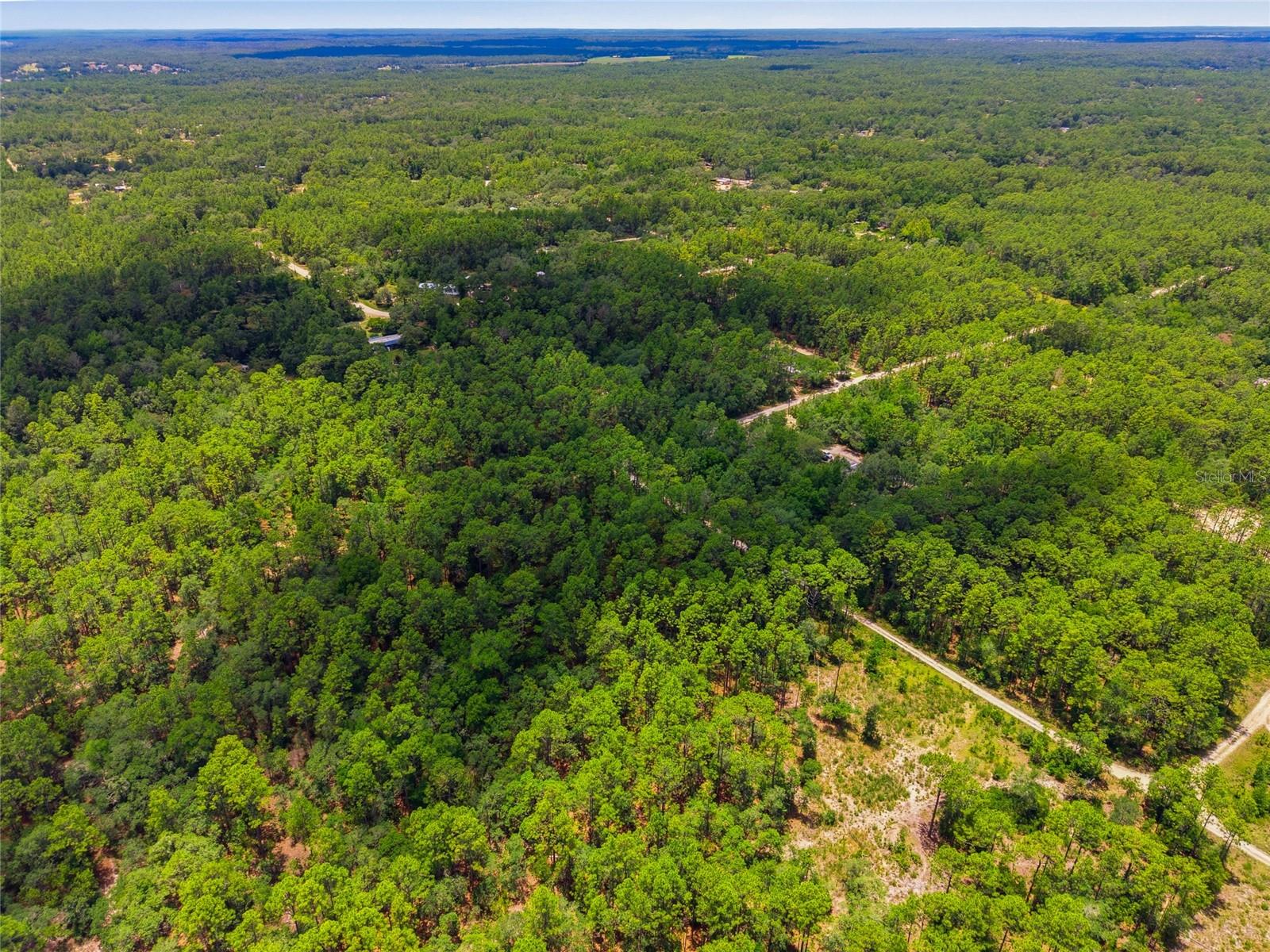 Lot 02 SW 175TH TER, DUNNELLON, FL — photo 16