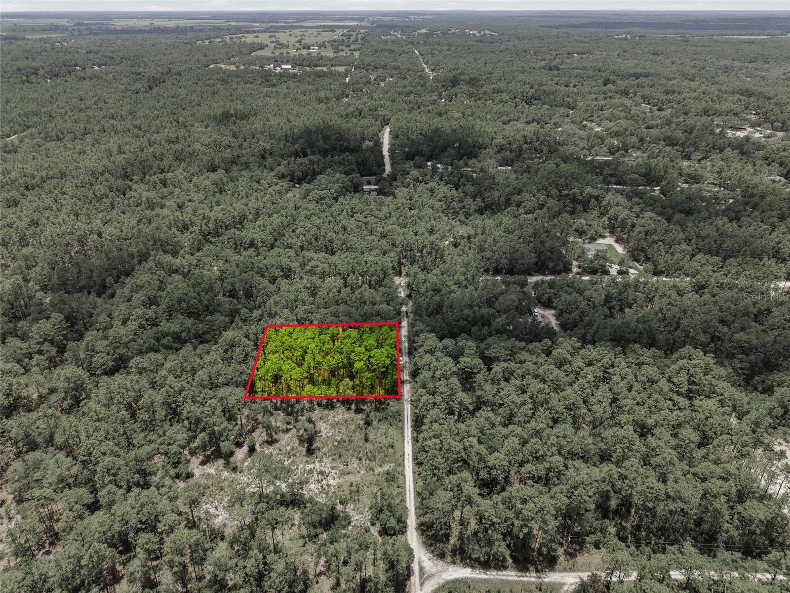 Lot 02 SW 175TH TER, DUNNELLON, FL — photo 17