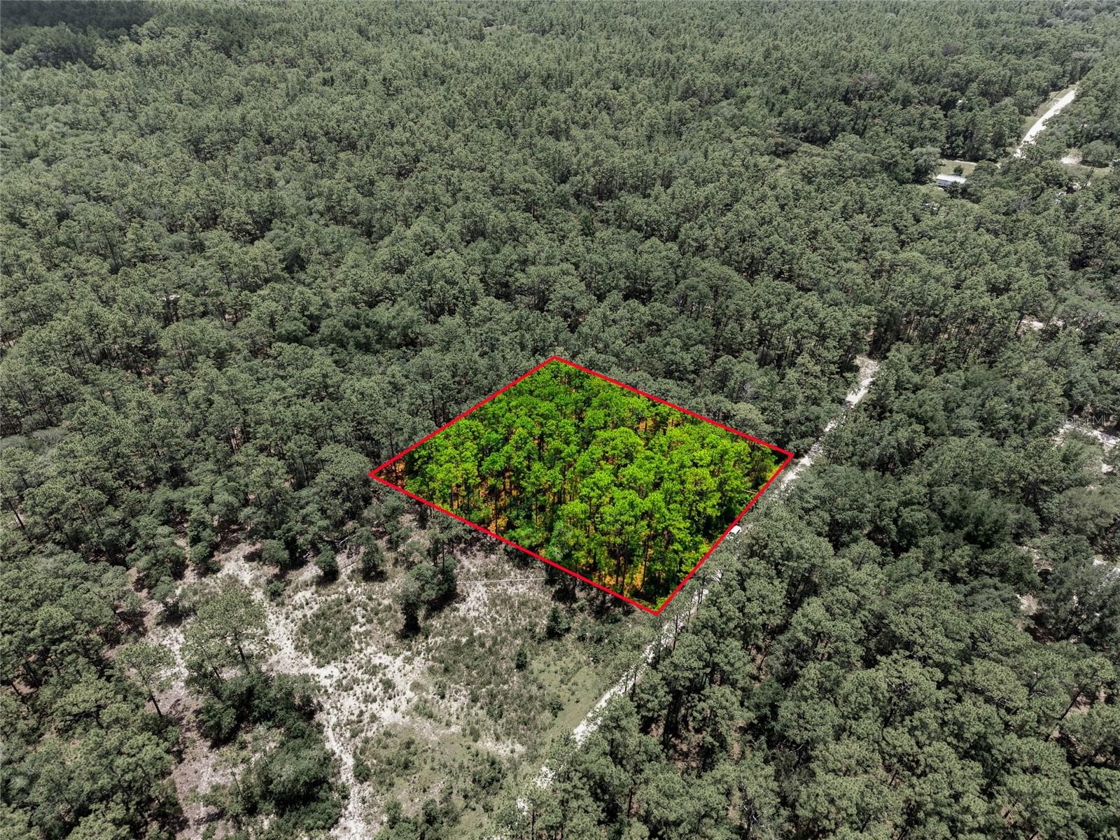 Lot 02 SW 175TH TER, DUNNELLON, FL — photo 19