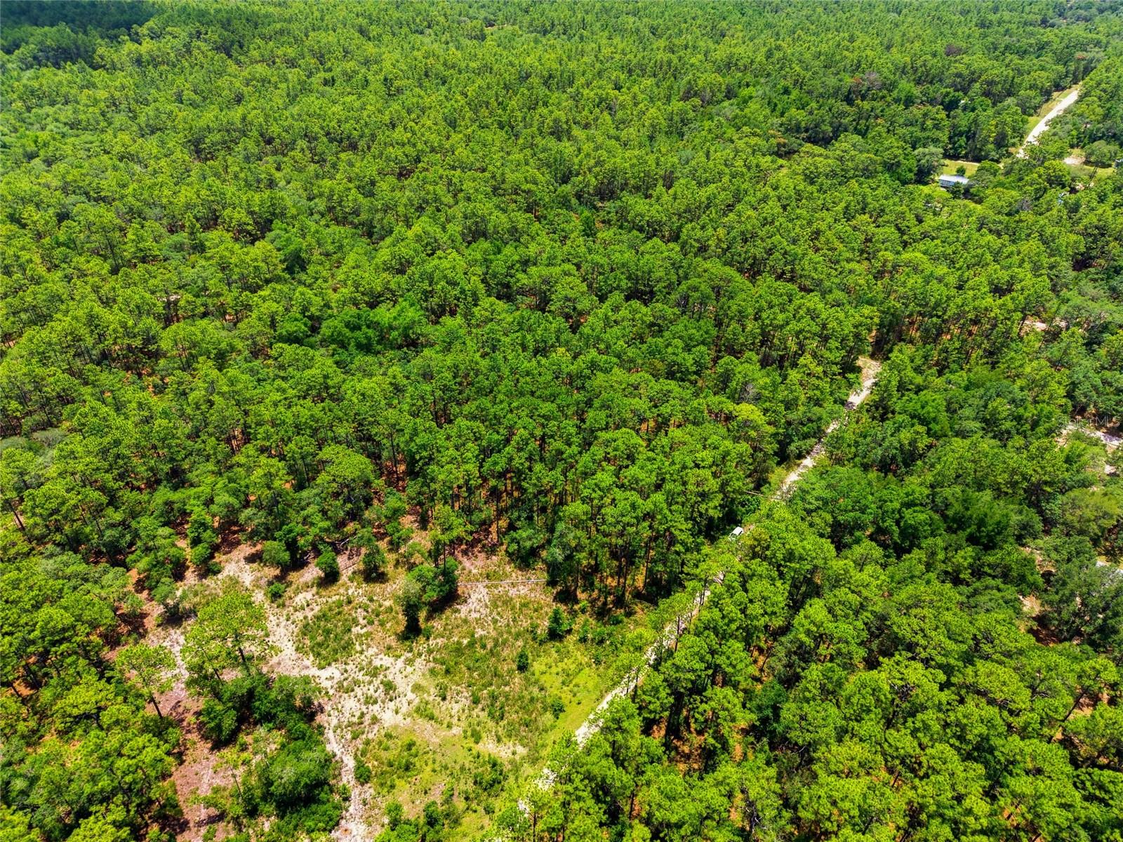 Lot 02 SW 175TH TER, DUNNELLON, FL — photo 20