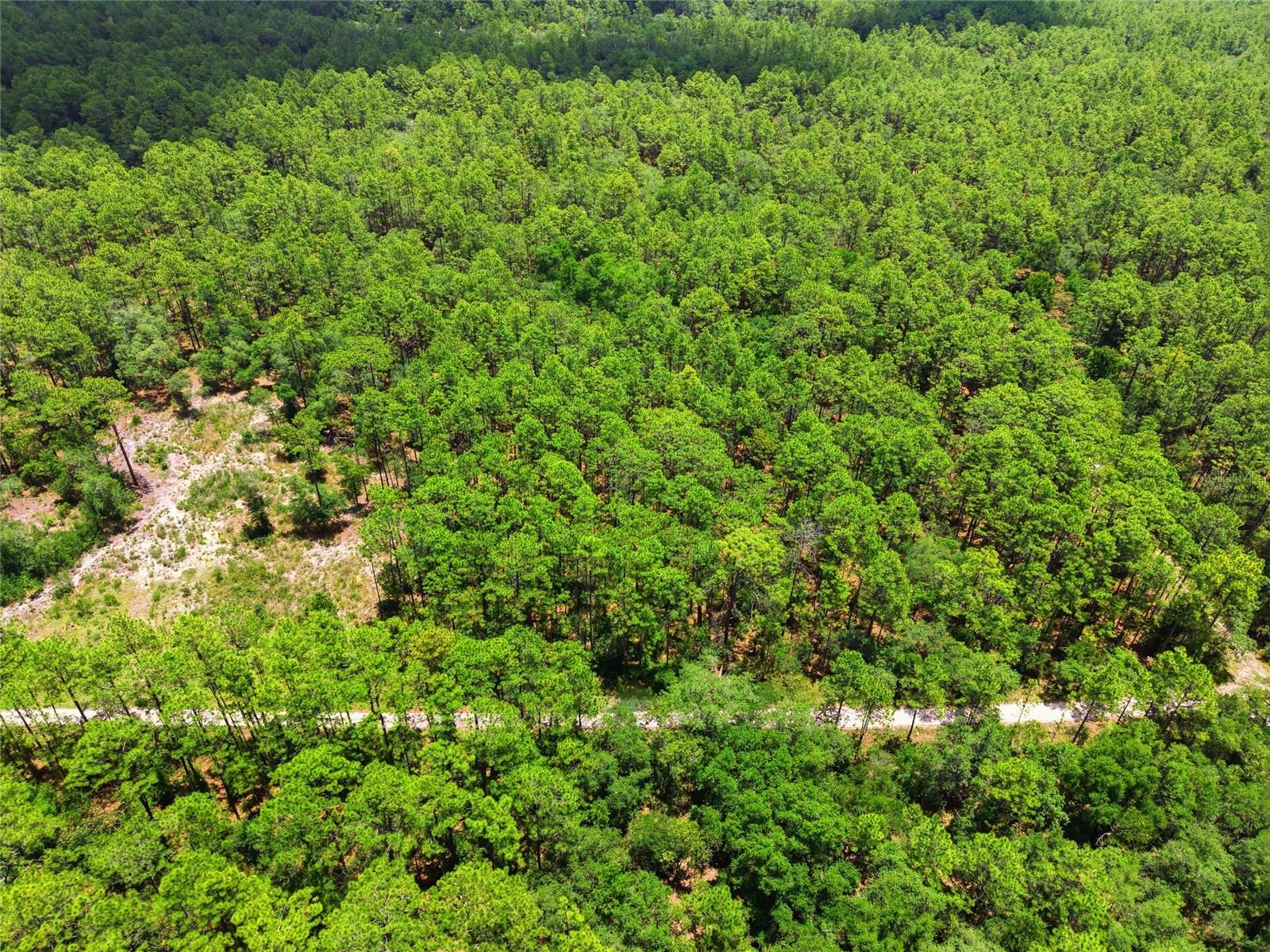 Lot 02 SW 175TH TER, DUNNELLON, FL — photo 21