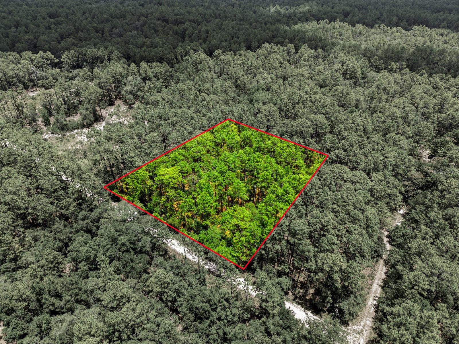 Lot 02 SW 175TH TER, DUNNELLON, FL — photo 22