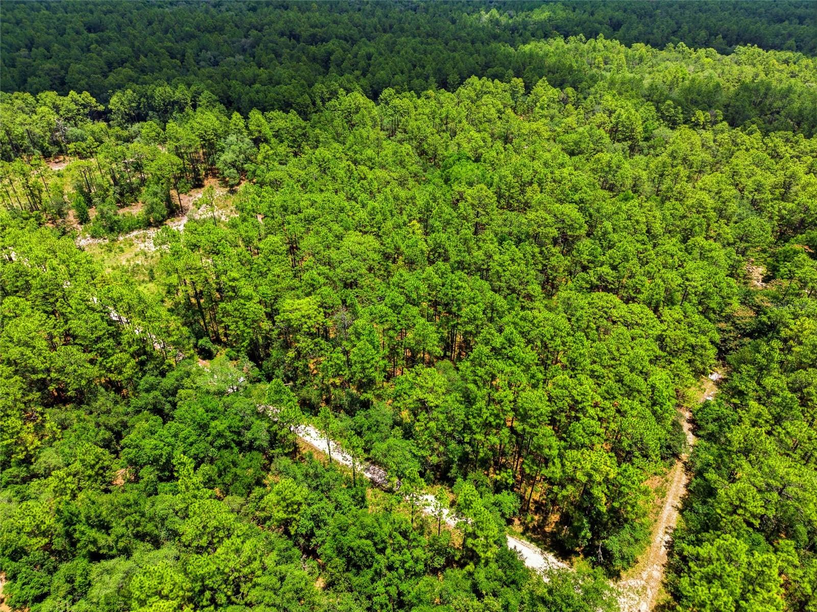 Lot 02 SW 175TH TER, DUNNELLON, FL — photo 23