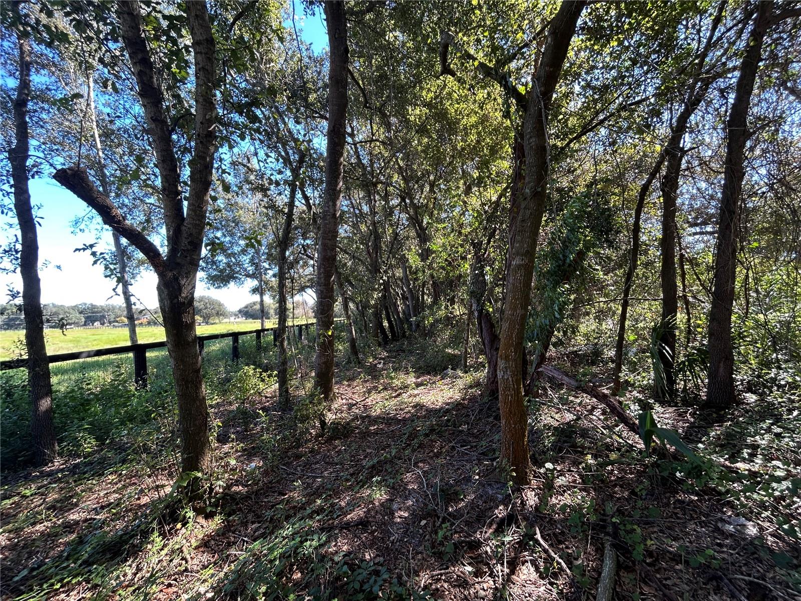 9720 N ROAD 33, POLK CITY, FL — photo 19