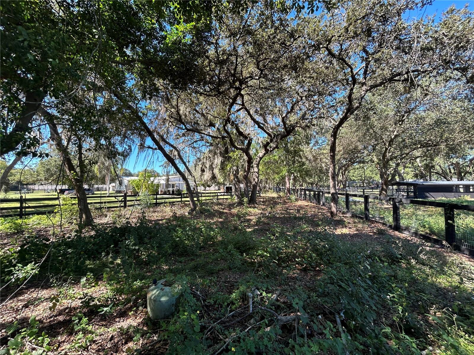 9720 N ROAD 33, POLK CITY, FL — photo 20