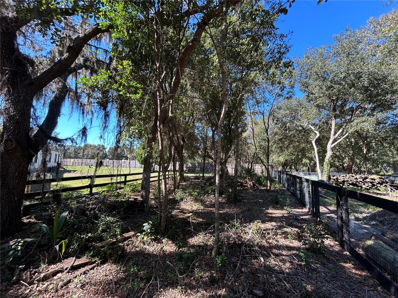 9720 N ROAD 33, POLK CITY, FL — photo 21