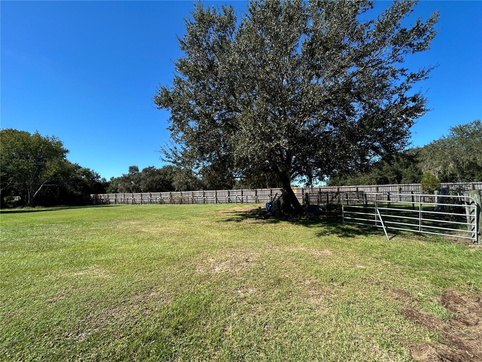 9720 N ROAD 33, POLK CITY, FL — photo 29