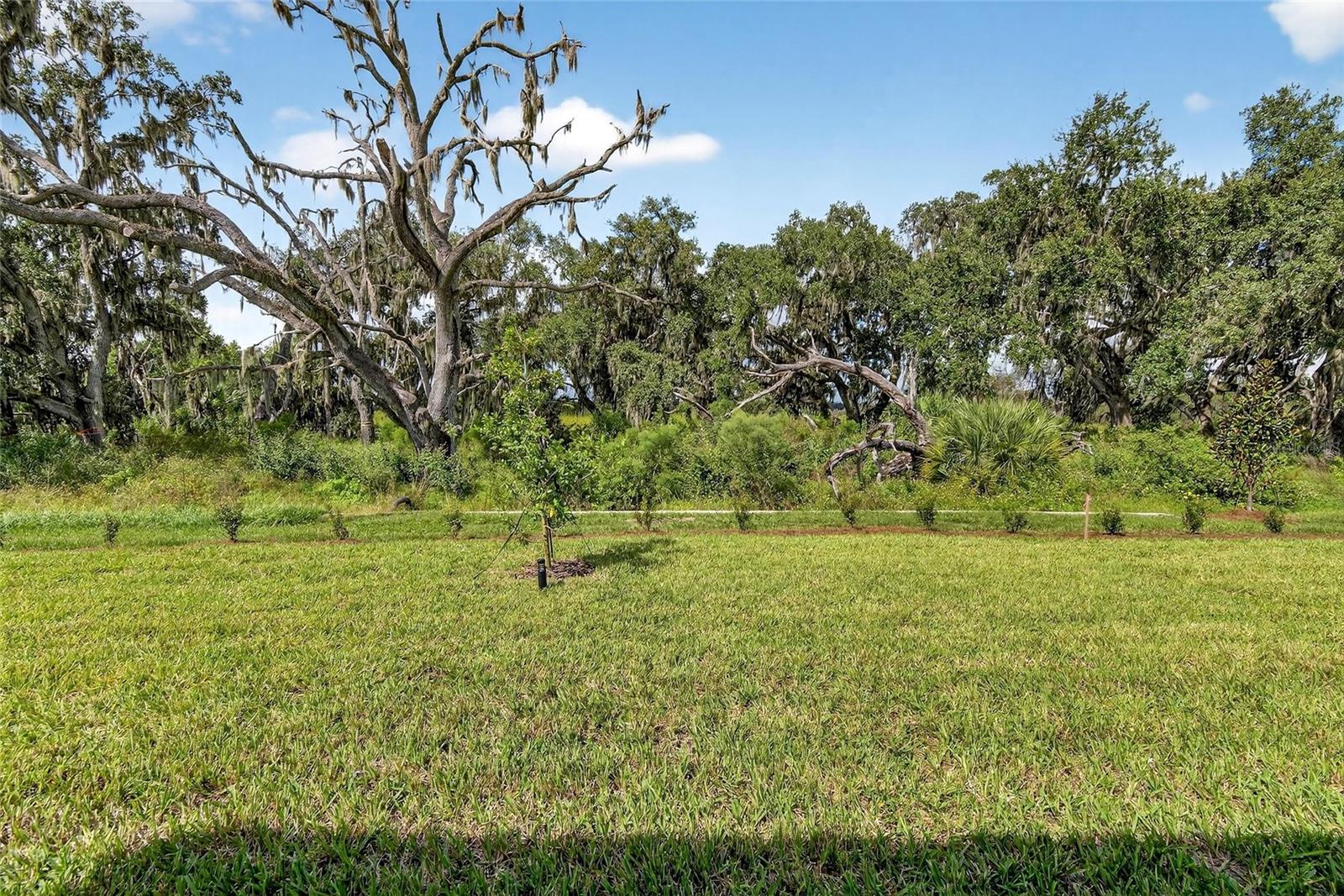 4025 WESTWOOD FIELDS LOOP, PLANT CITY, FL — photo 45