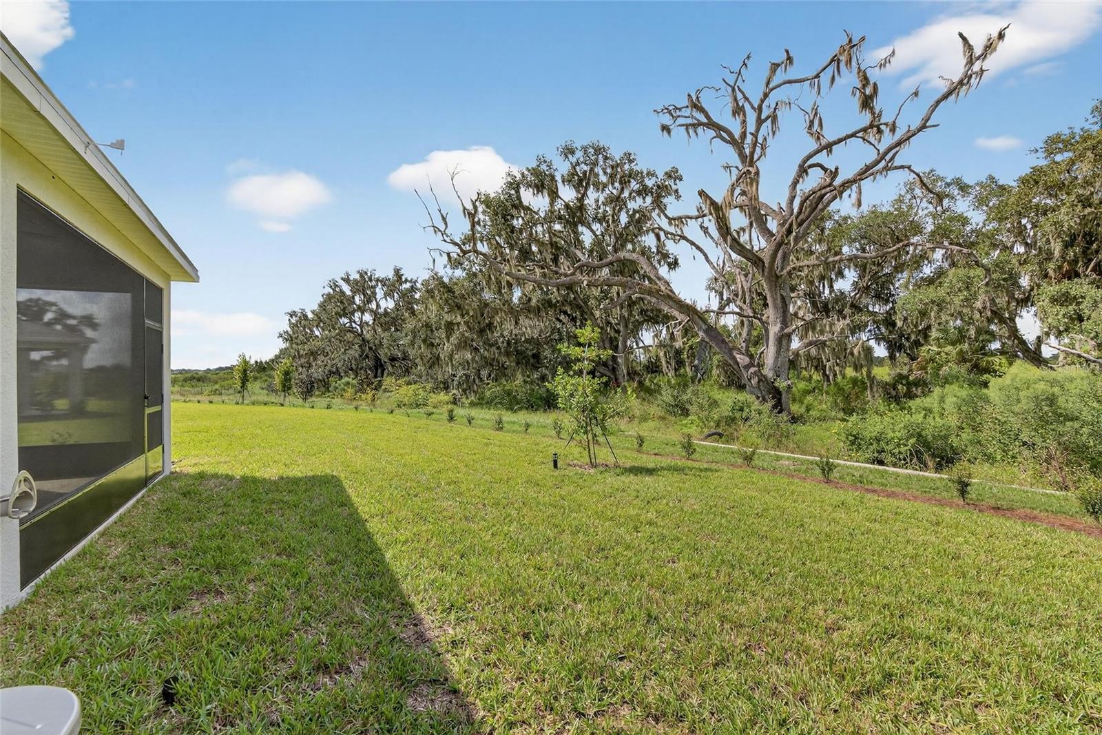 4025 WESTWOOD FIELDS LOOP, PLANT CITY, FL — photo 54