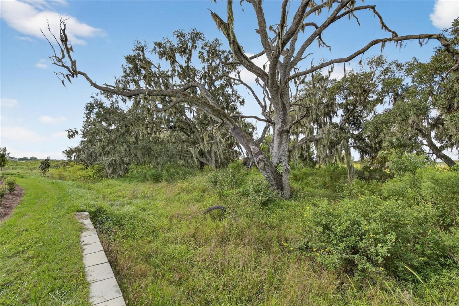 4025 WESTWOOD FIELDS LOOP, PLANT CITY, FL — photo 55