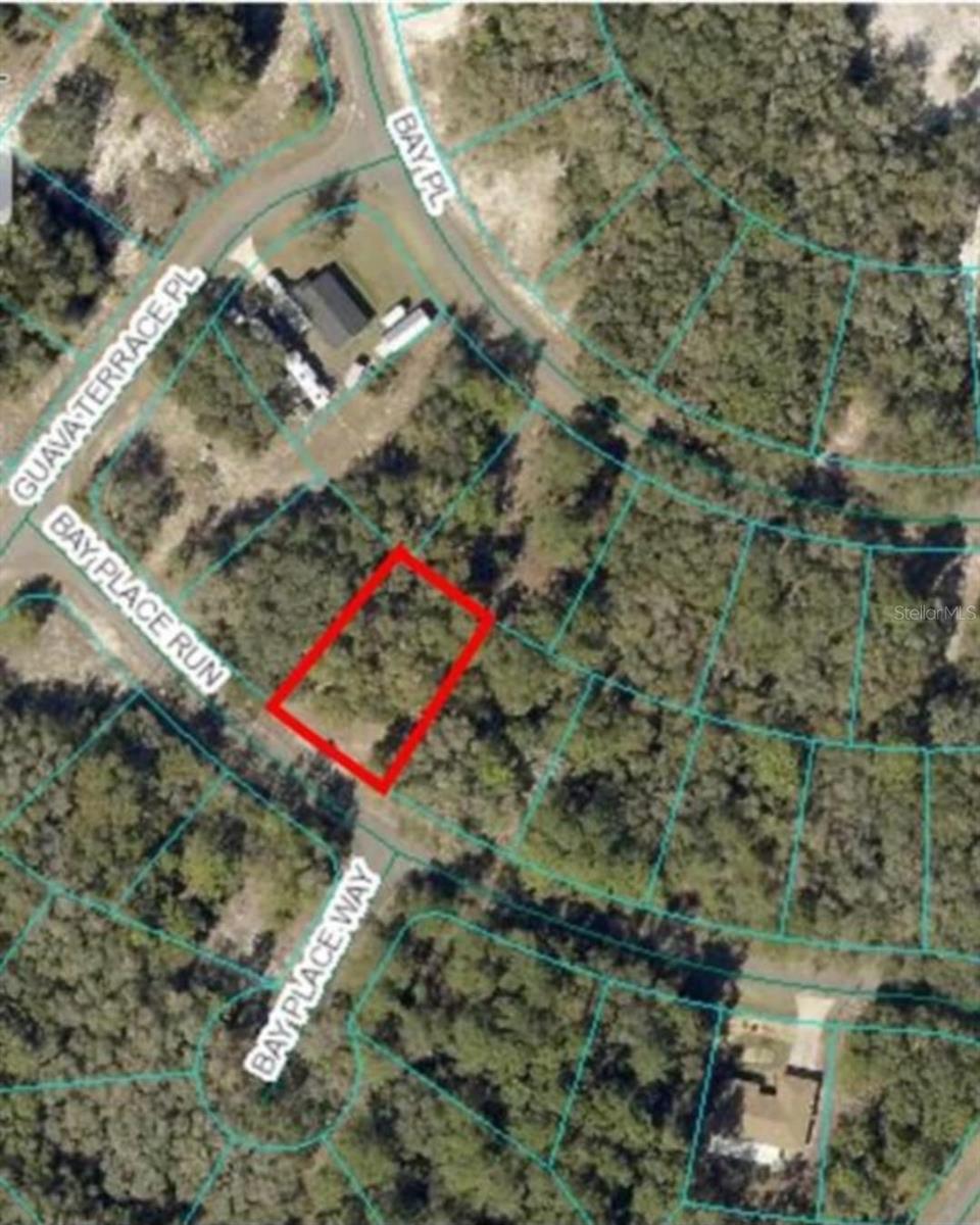 00 BAY PLACE WAY, OCKLAWAHA, FL