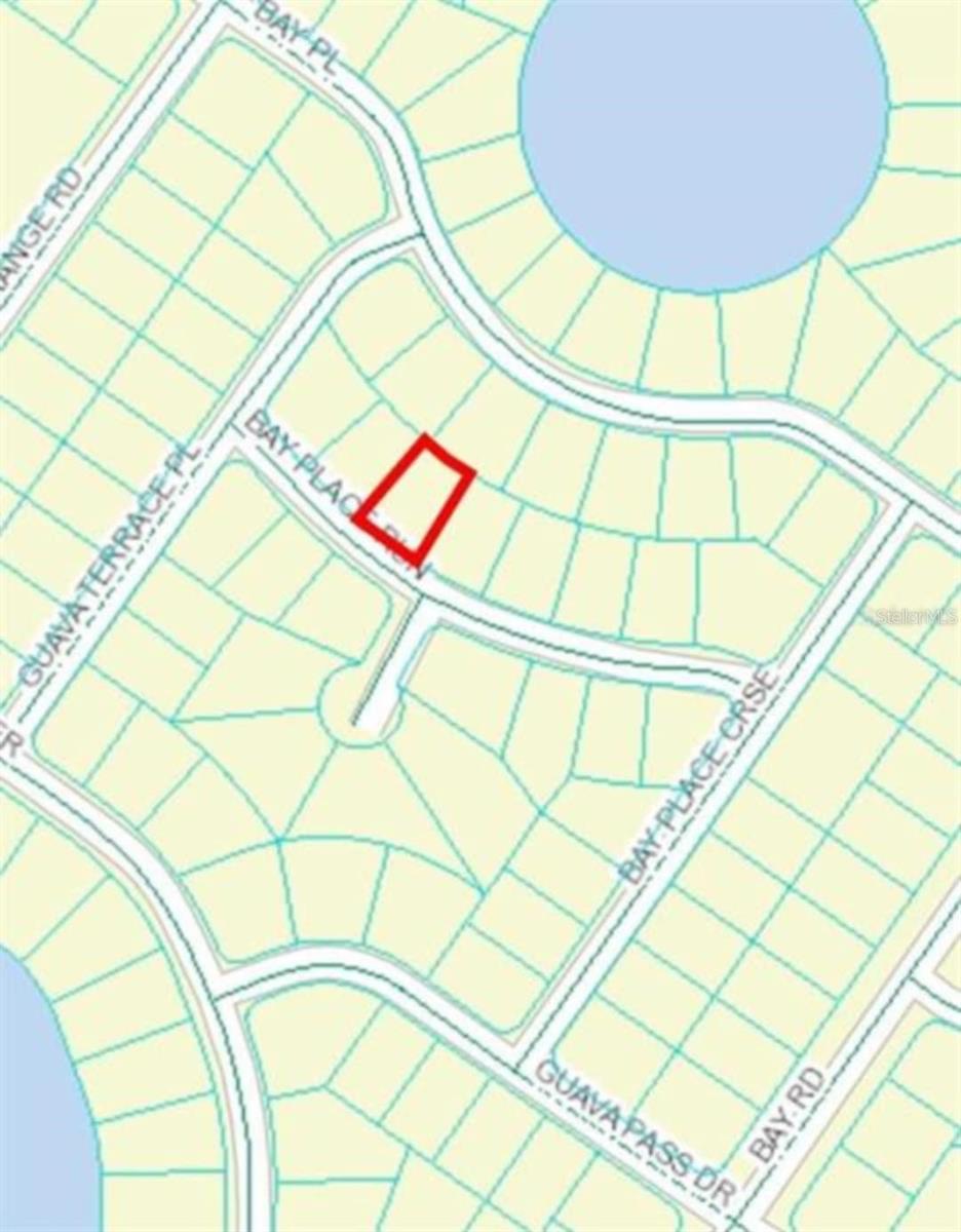 00 BAY PLACE WAY, OCKLAWAHA, FL — photo 3