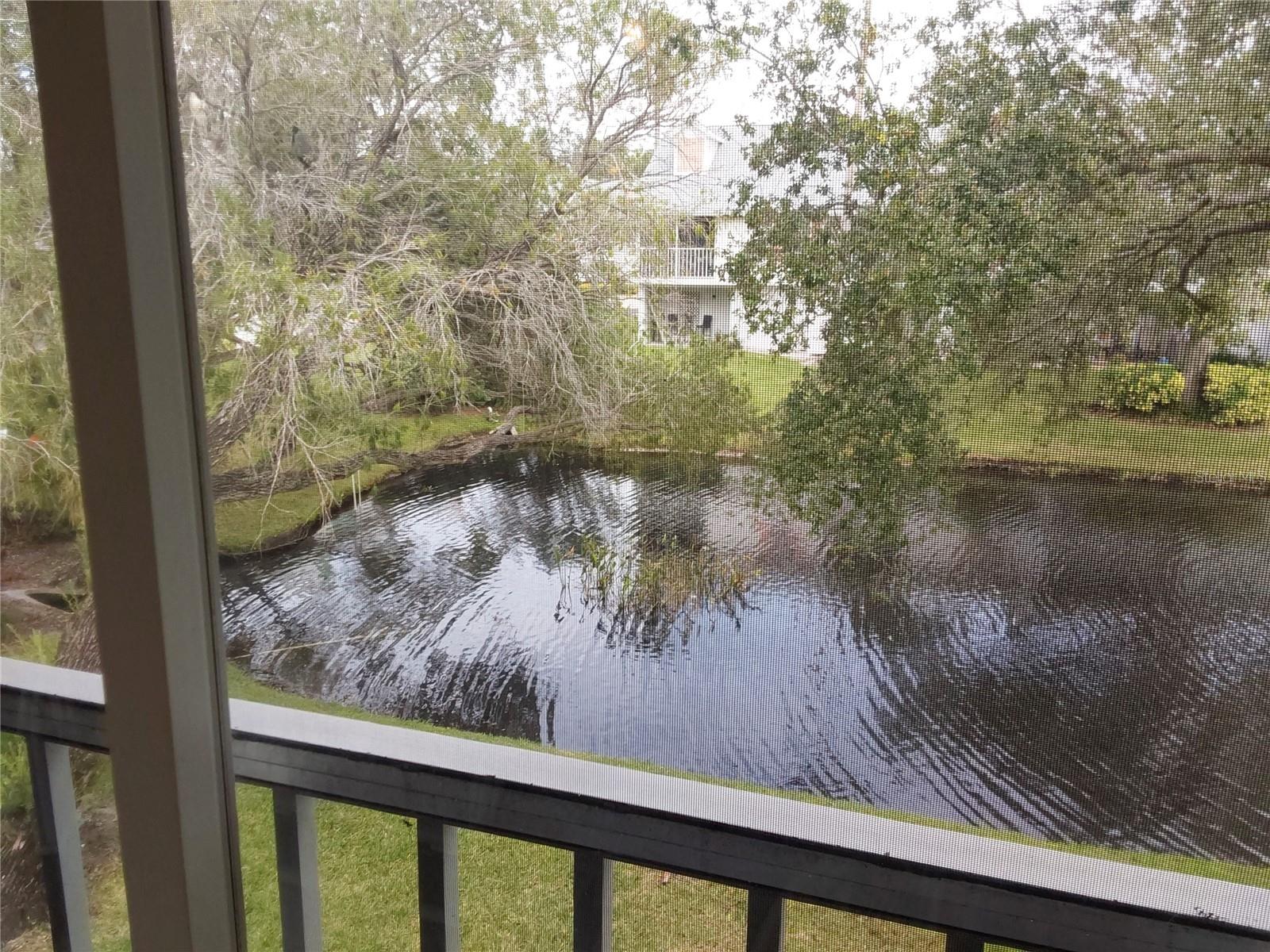 153 SUN ISLE CIR, TREASURE ISLAND, FL — photo 32