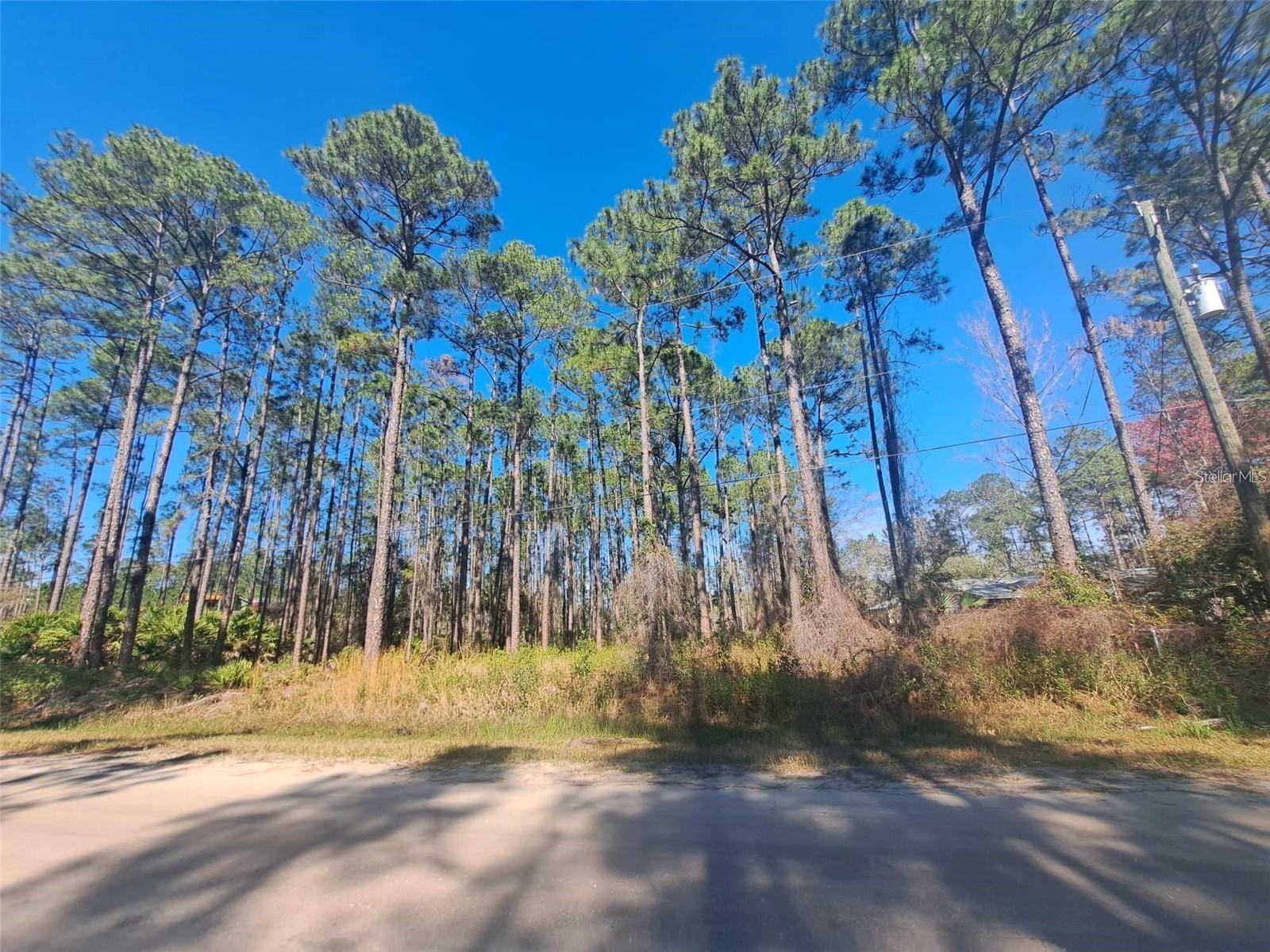 5146 LIME AVE, BUNNELL, FL