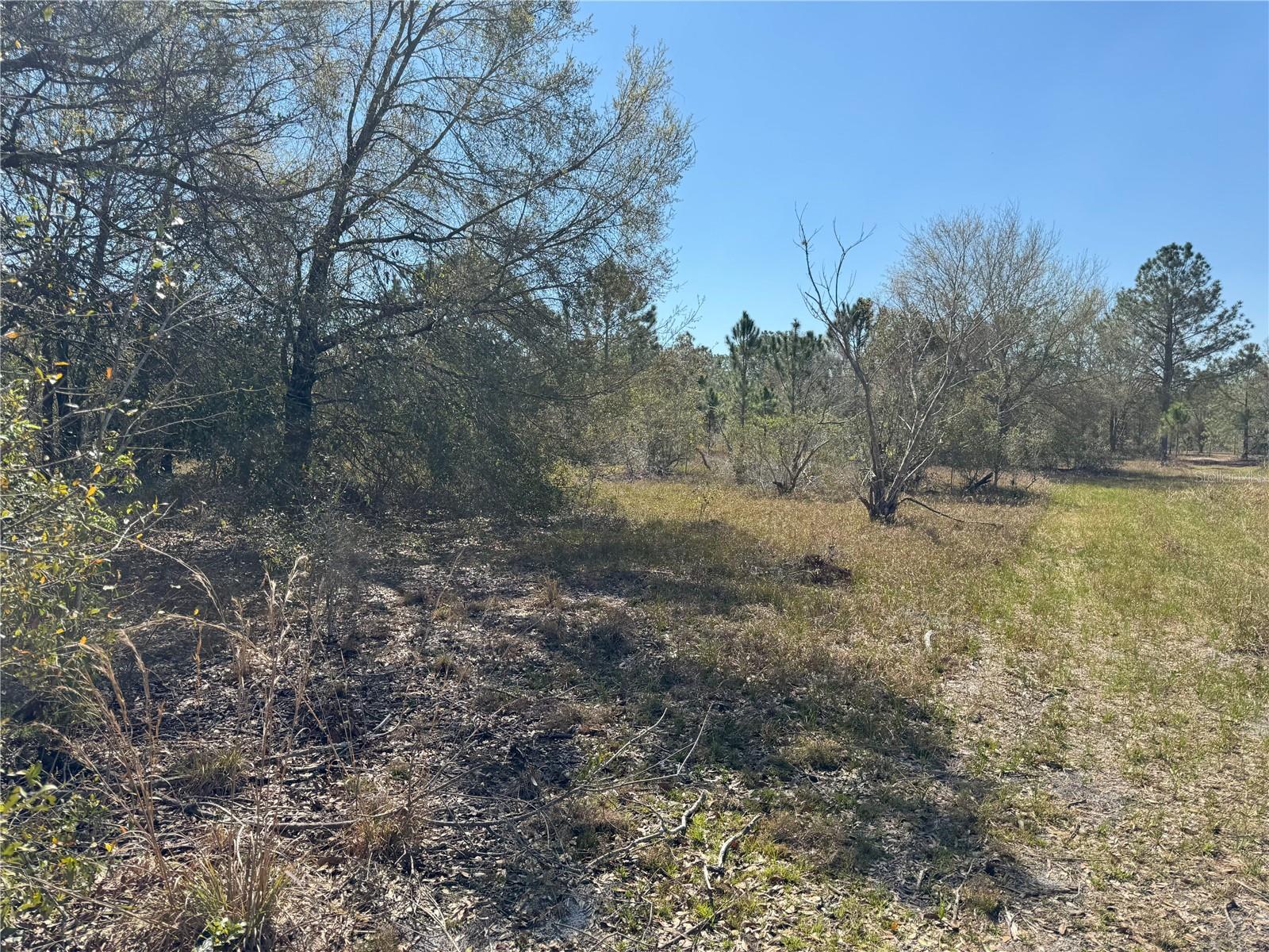 0 LAKE BUFFUM RD, LAKE WALES, FL — photo 4