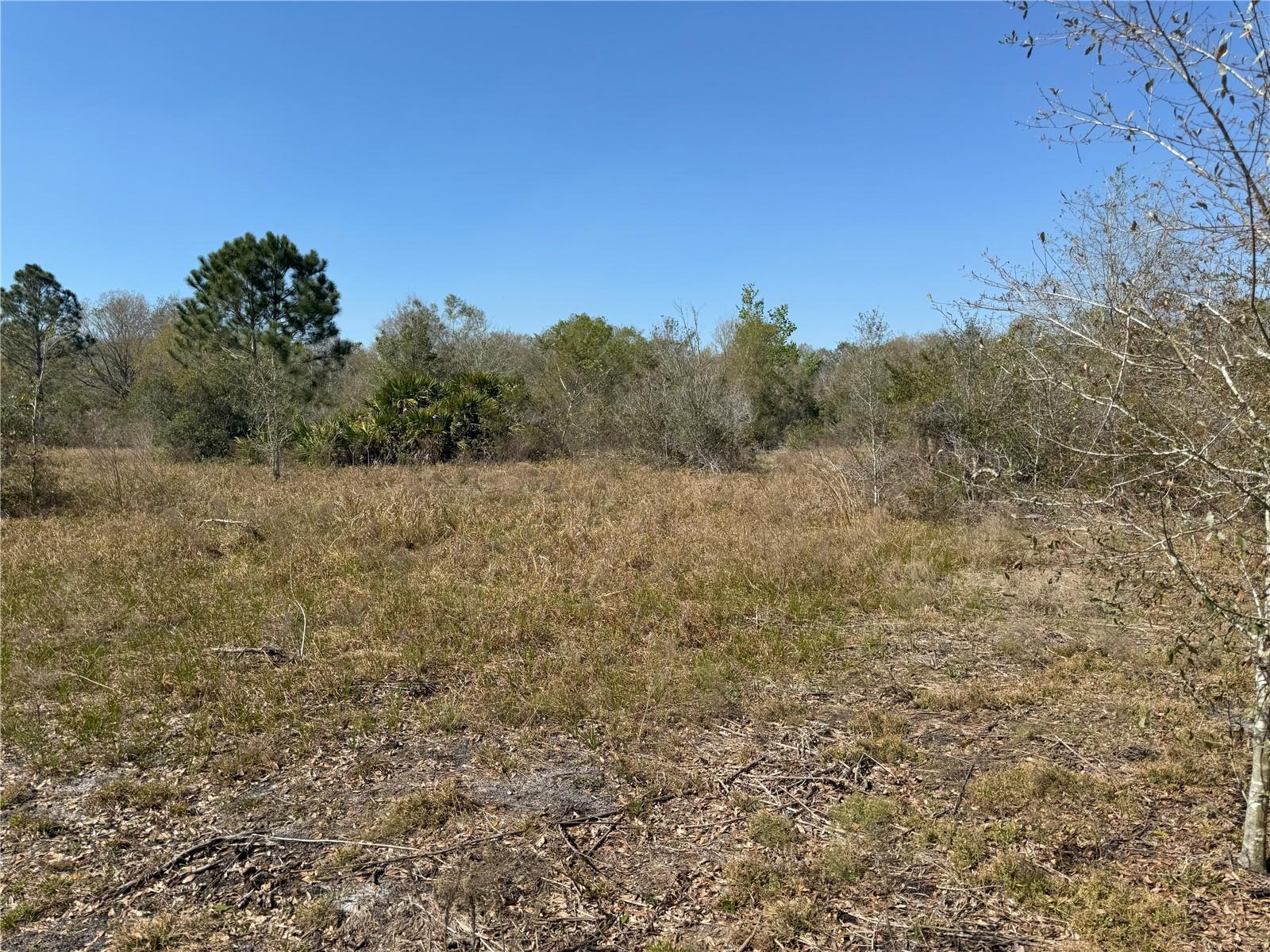 0 LAKE BUFFUM RD, LAKE WALES, FL — photo 5
