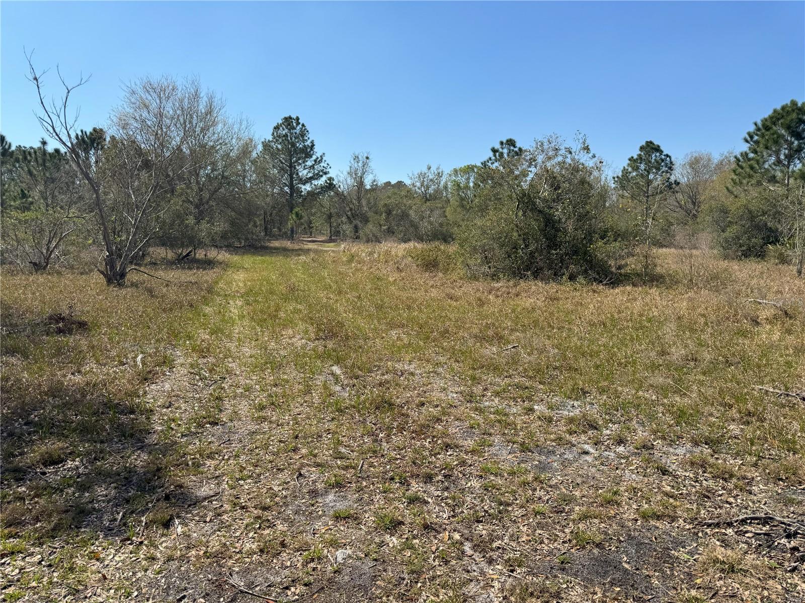 0 LAKE BUFFUM RD, LAKE WALES, FL — photo 6