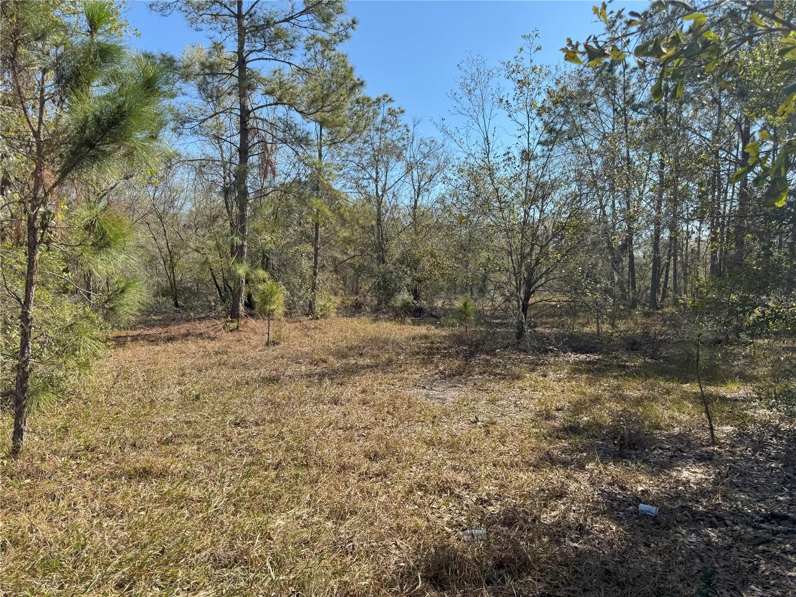 0 LAKE BUFFUM RD, LAKE WALES, FL — photo 8