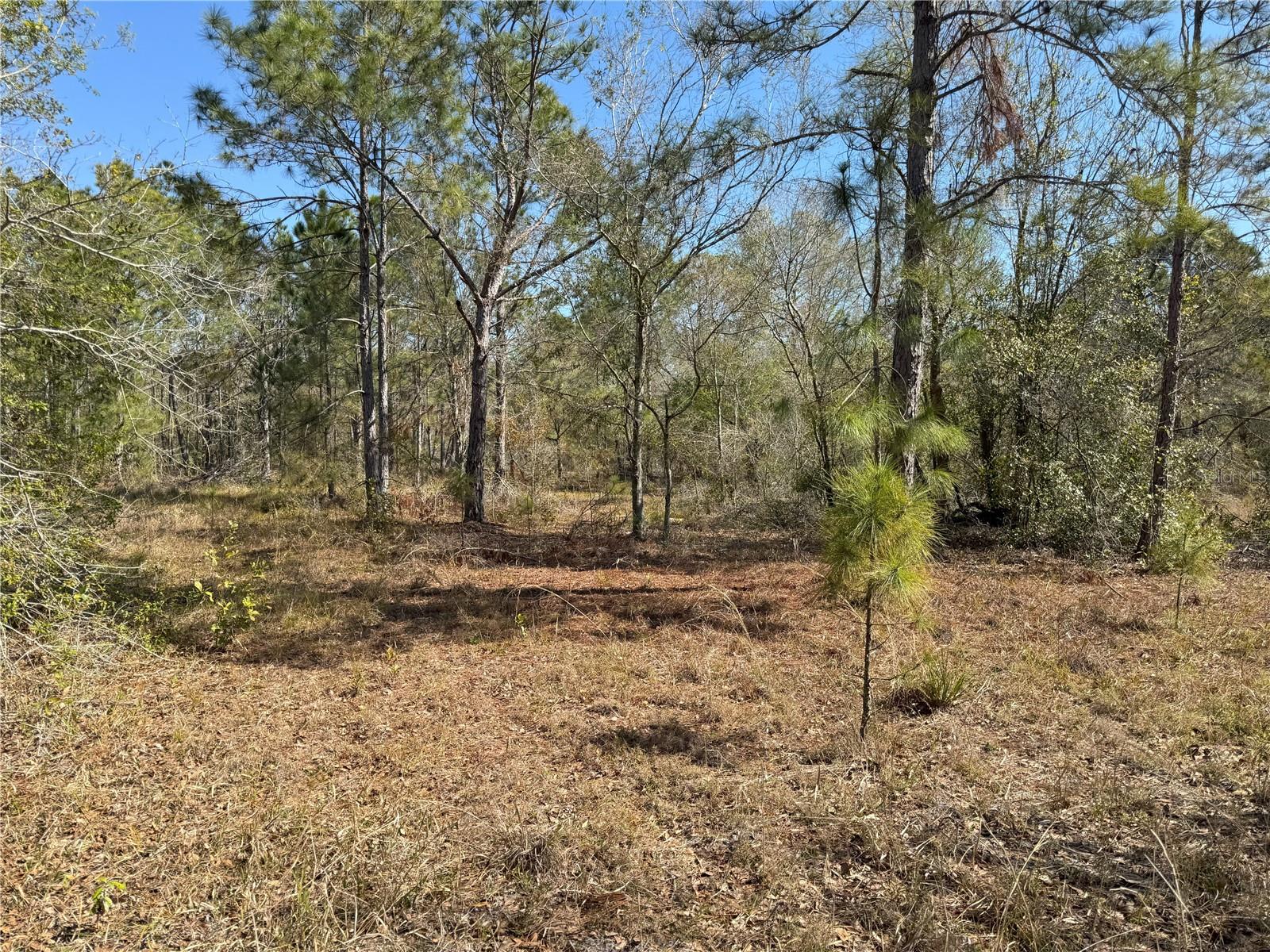 0 LAKE BUFFUM RD, LAKE WALES, FL — photo 9
