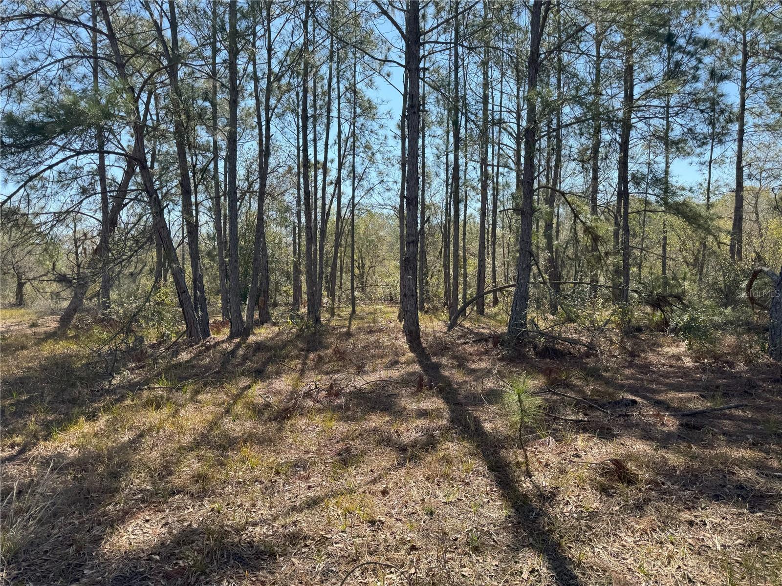 0 LAKE BUFFUM RD, LAKE WALES, FL — photo 10