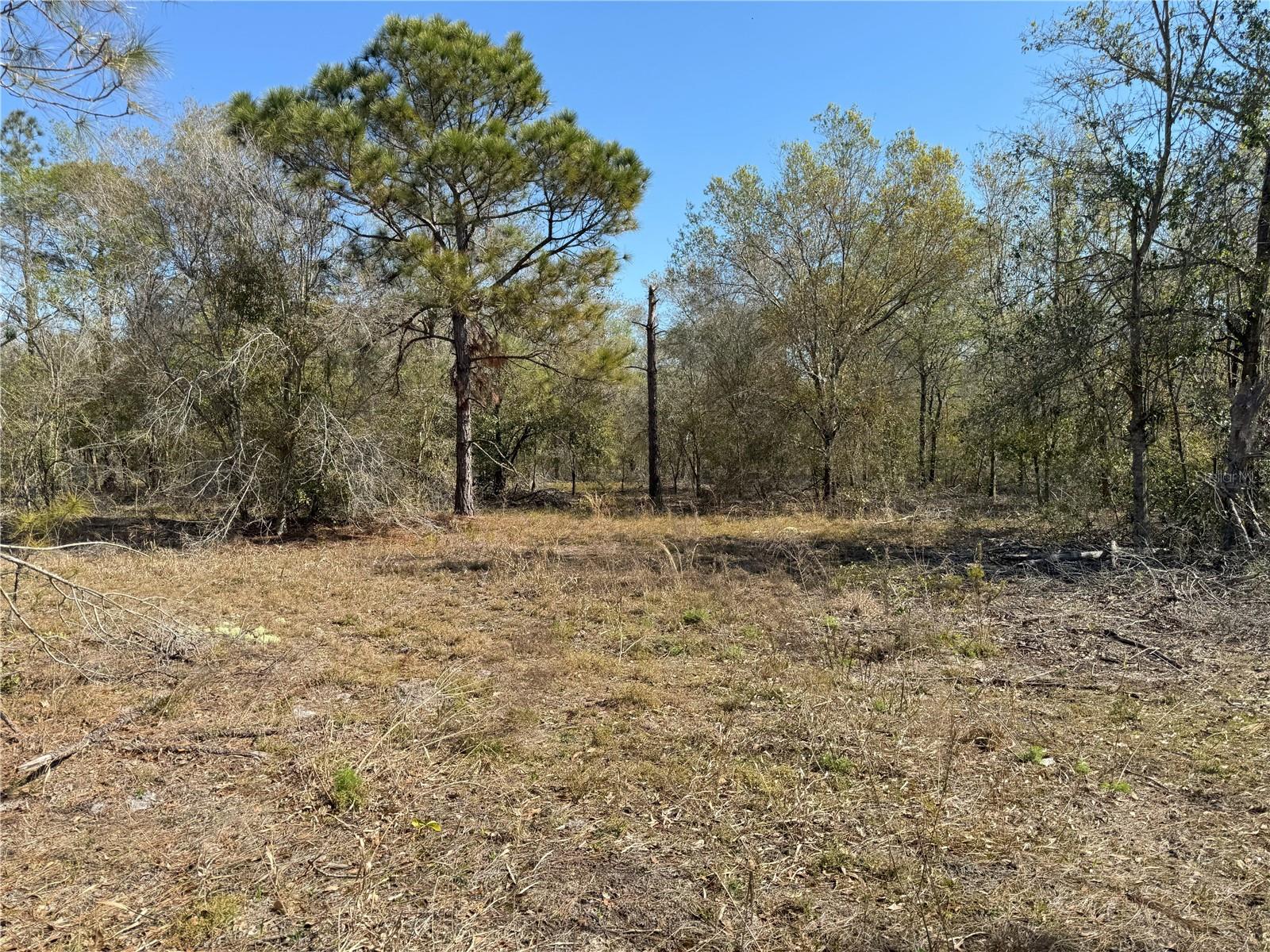 0 LAKE BUFFUM RD, LAKE WALES, FL — photo 11