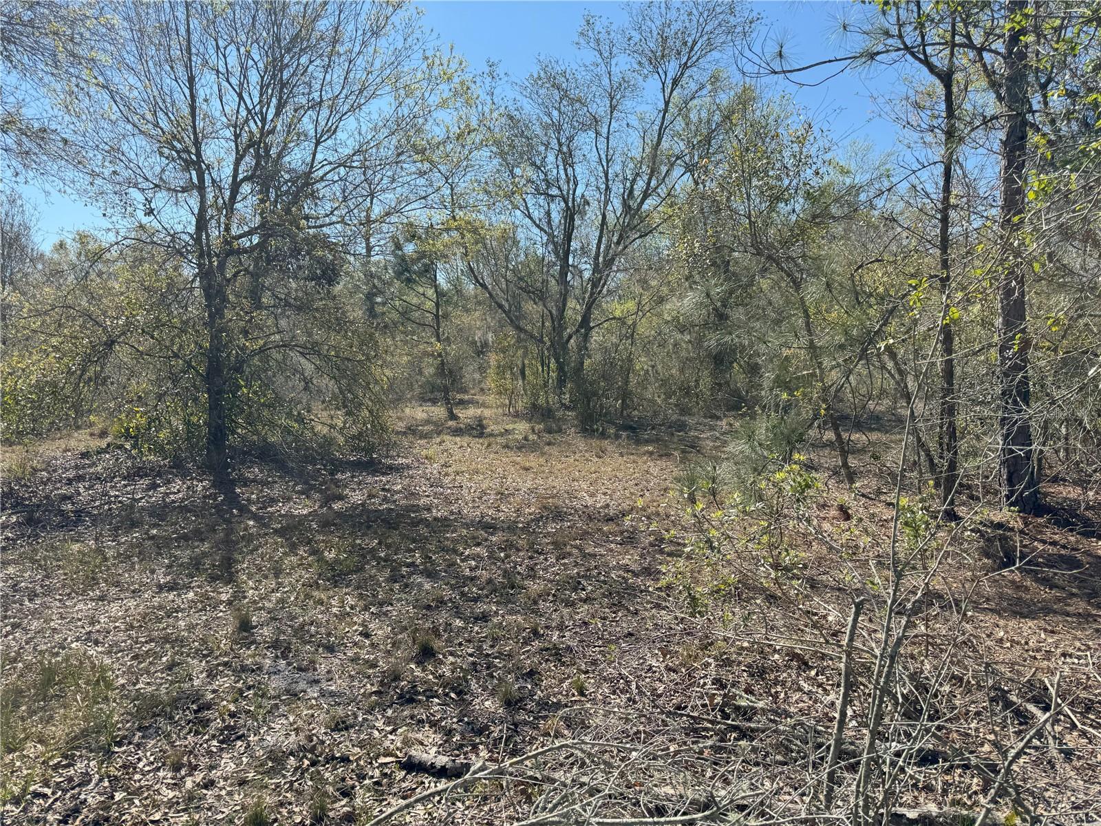 0 LAKE BUFFUM RD, LAKE WALES, FL — photo 13