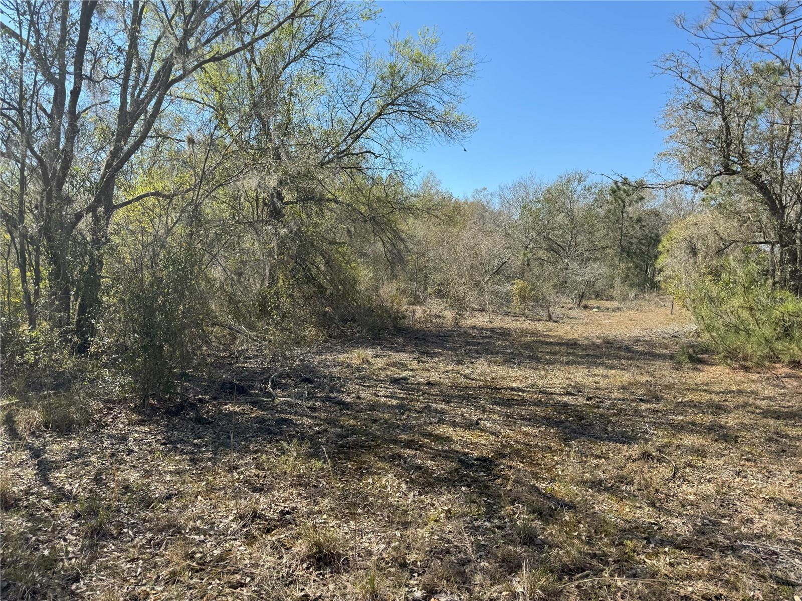 0 LAKE BUFFUM RD, LAKE WALES, FL — photo 14