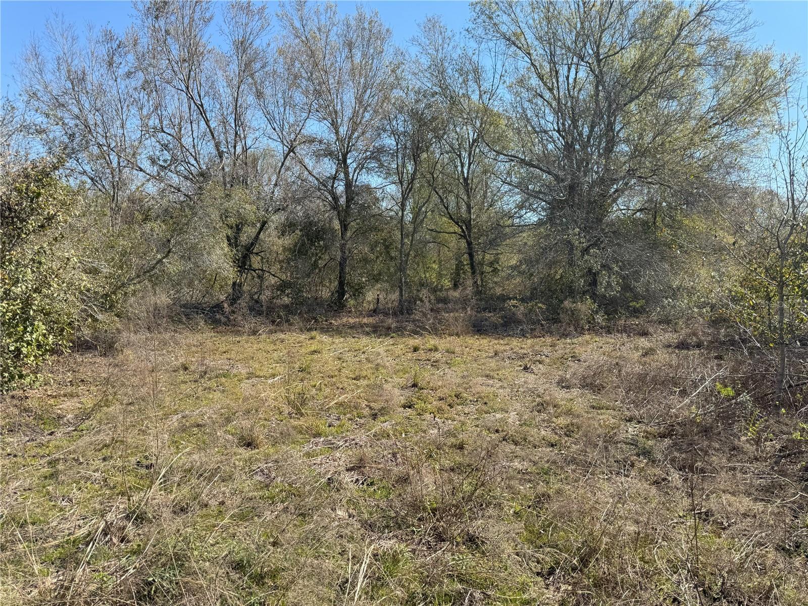 0 LAKE BUFFUM RD, LAKE WALES, FL — photo 15