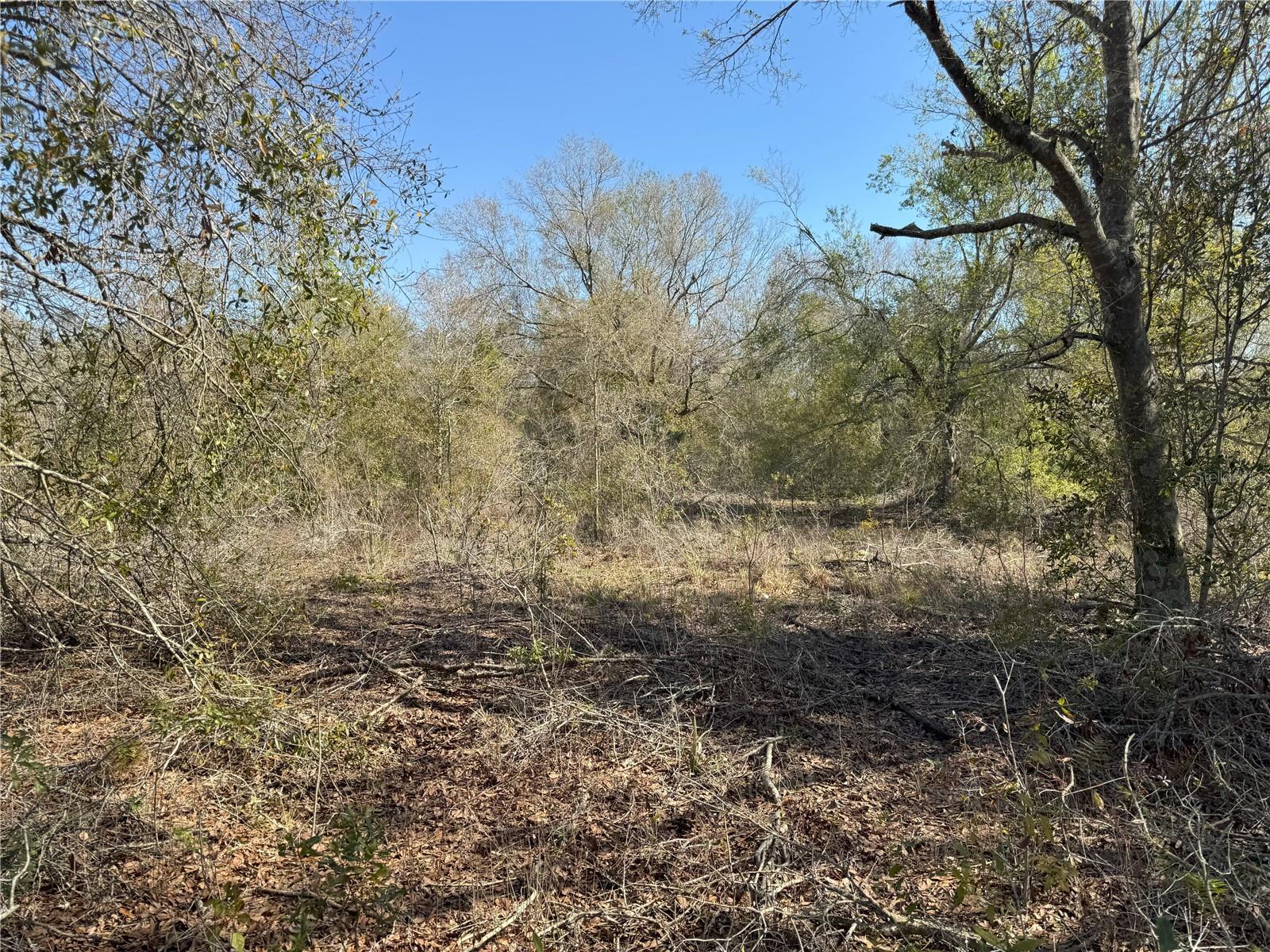 0 LAKE BUFFUM RD, LAKE WALES, FL — photo 16