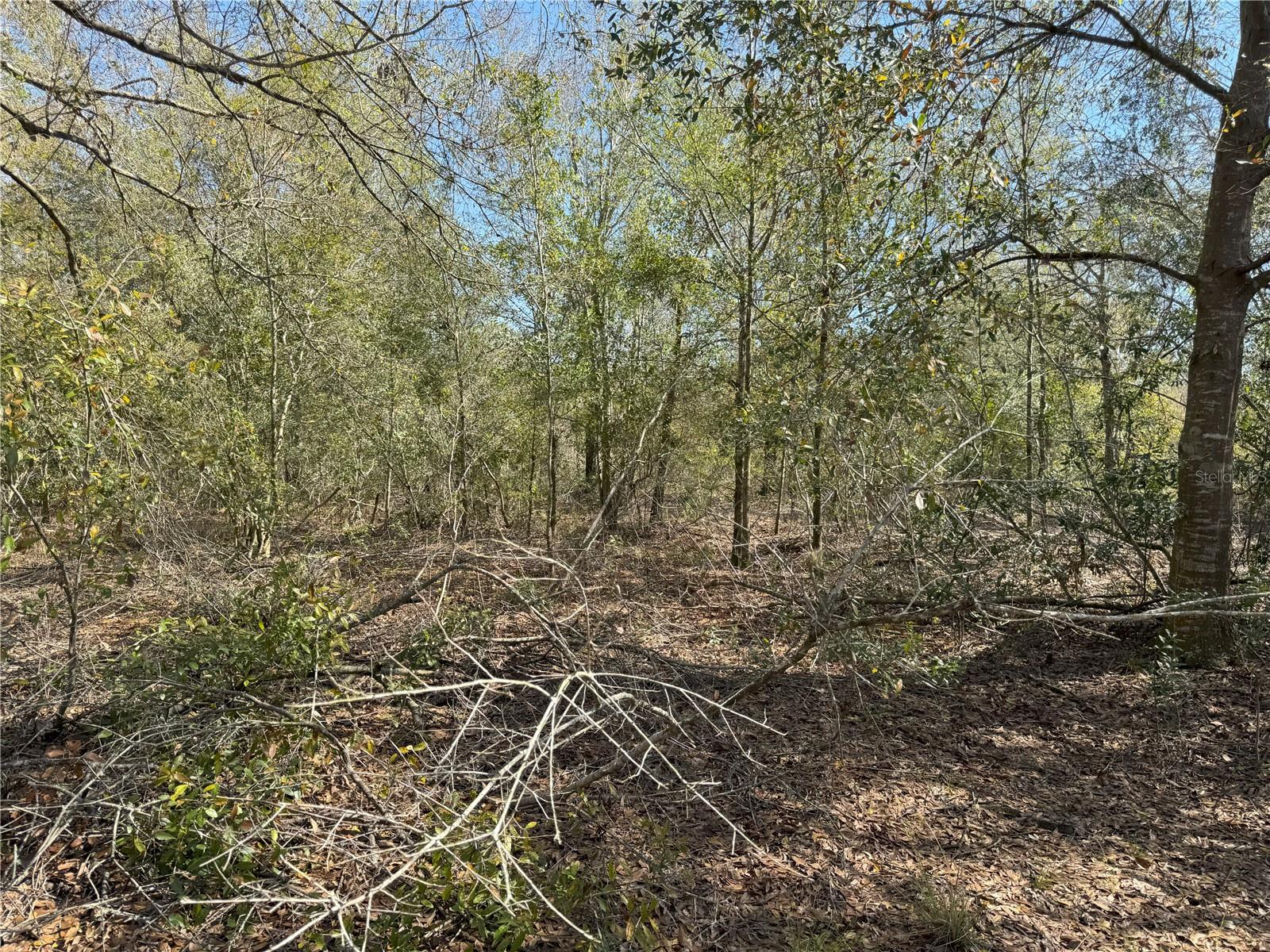 0 LAKE BUFFUM RD, LAKE WALES, FL — photo 17