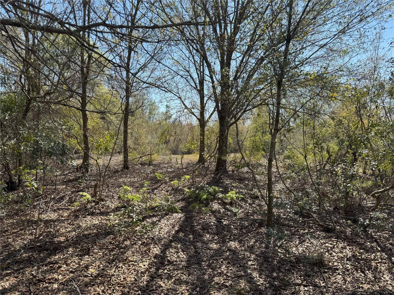 0 LAKE BUFFUM RD, LAKE WALES, FL — photo 18