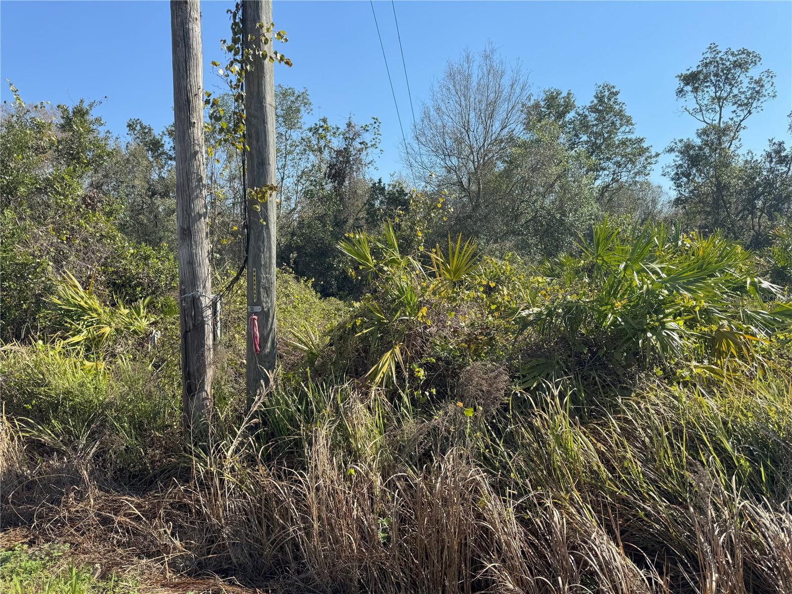 0 LAKE BUFFUM RD, LAKE WALES, FL — photo 21