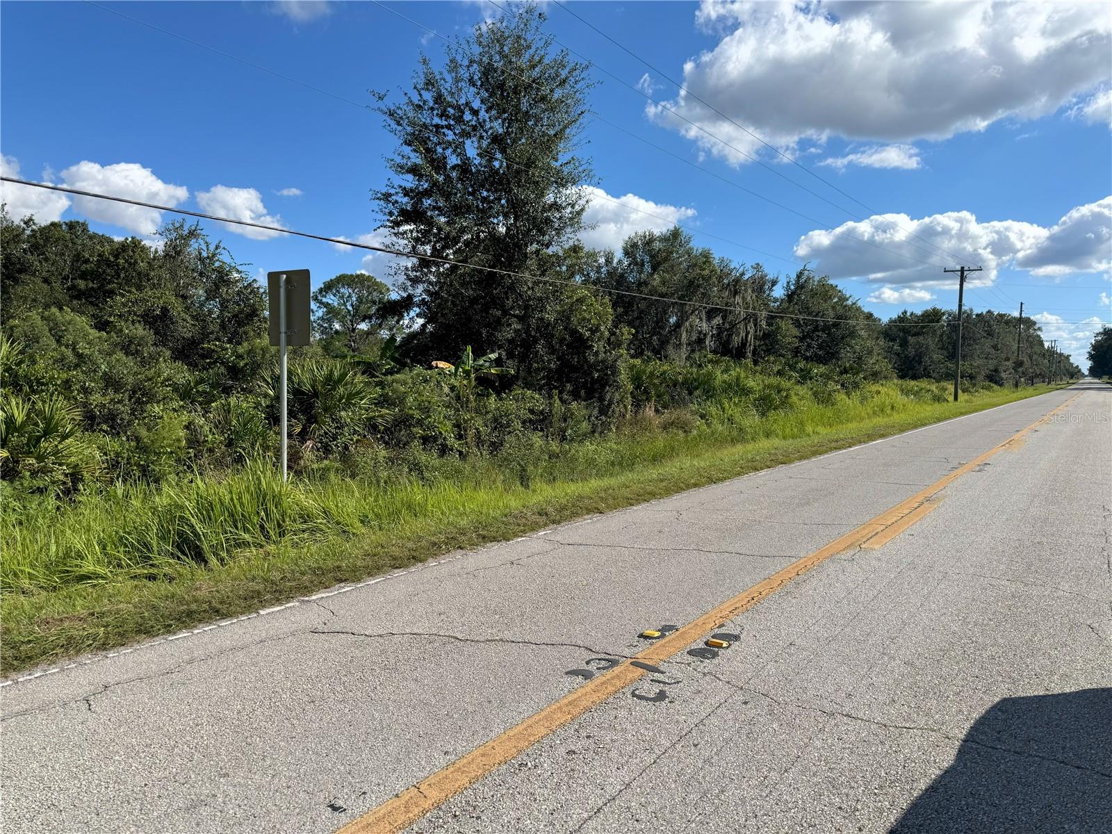 0 ALTURAS BABSON PARK CUT OFF RD, BARTOW, FL — photo 2