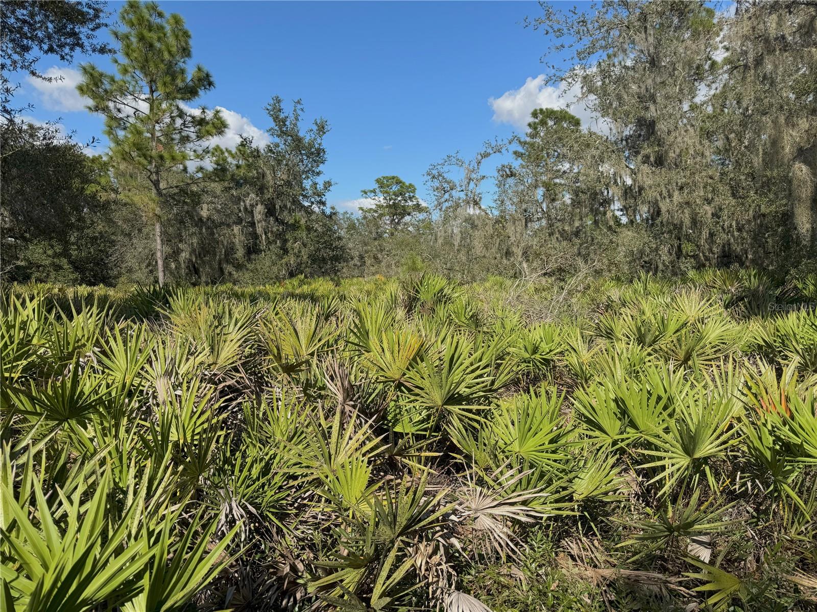 0 ALTURAS BABSON PARK CUT OFF RD, BARTOW, FL — photo 3