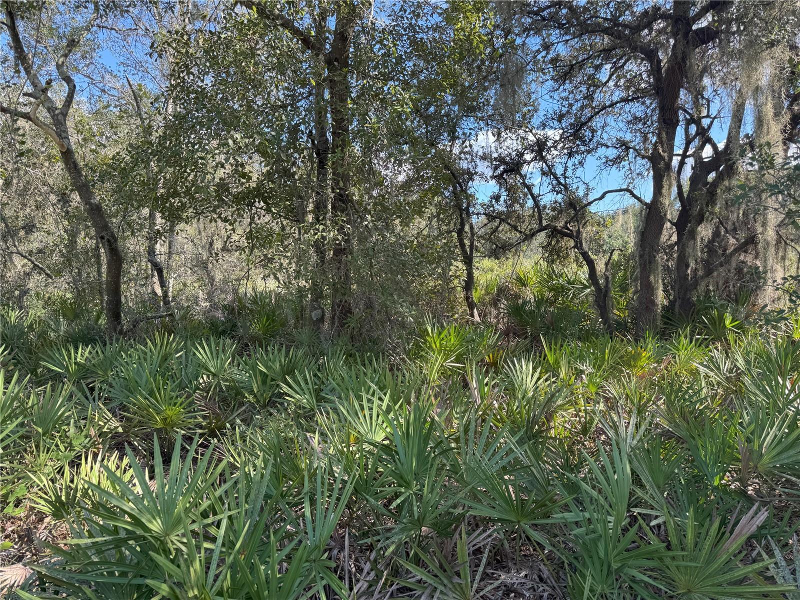 0 ALTURAS BABSON PARK CUT OFF RD, BARTOW, FL — photo 4