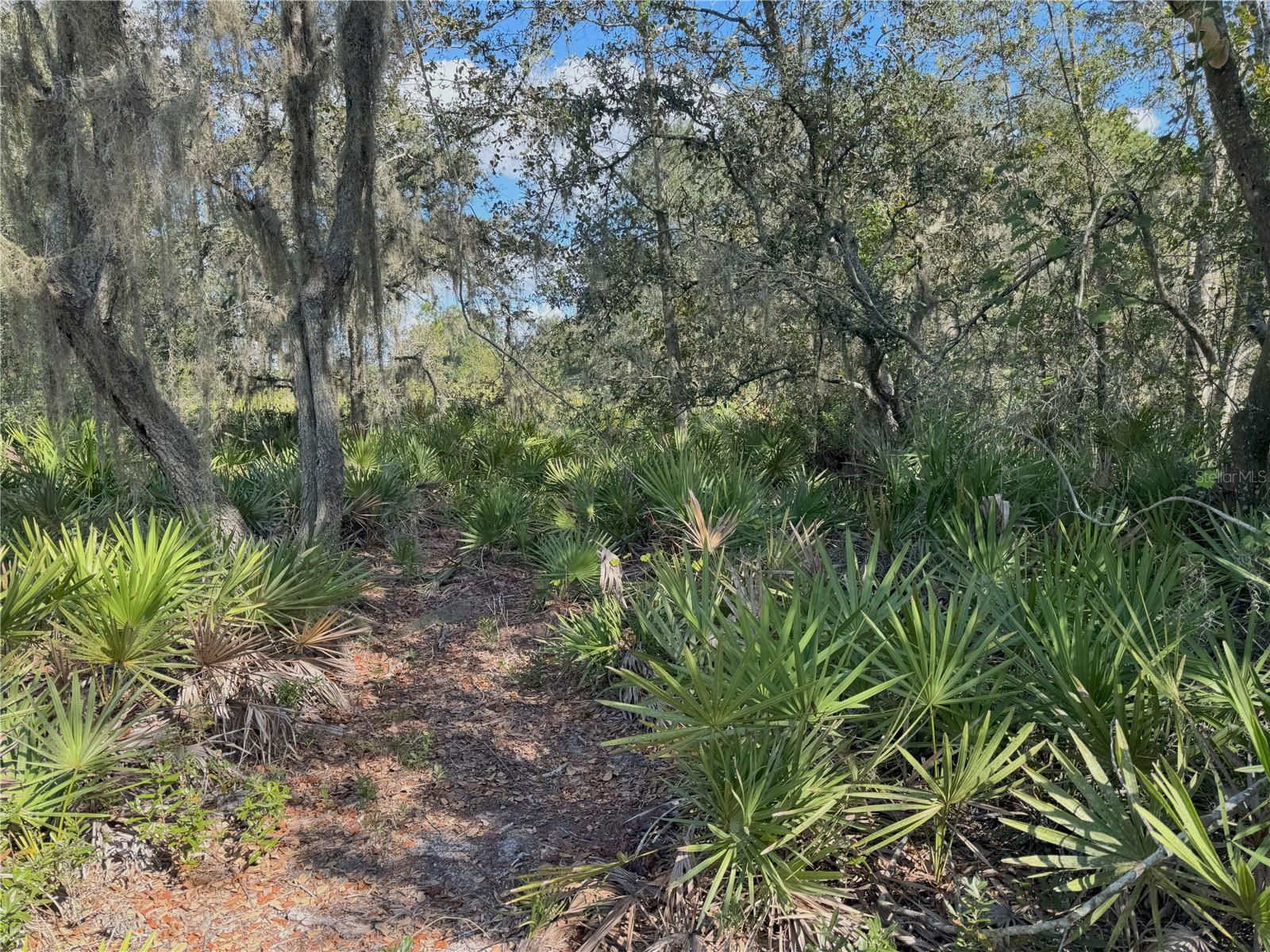 0 ALTURAS BABSON PARK CUT OFF RD, BARTOW, FL — photo 5
